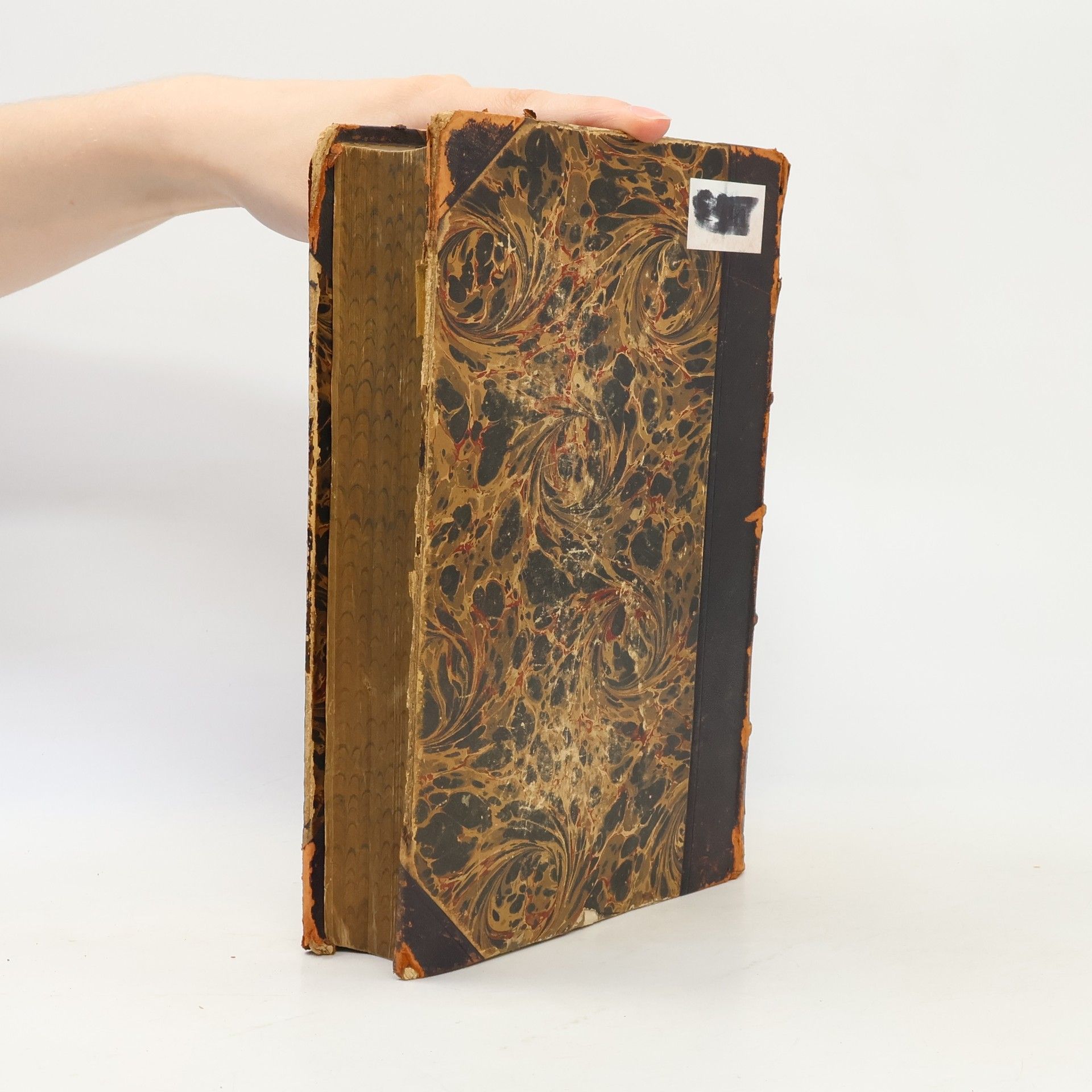 Ignaz Schüch Handbuch der Pastoral-Theologie