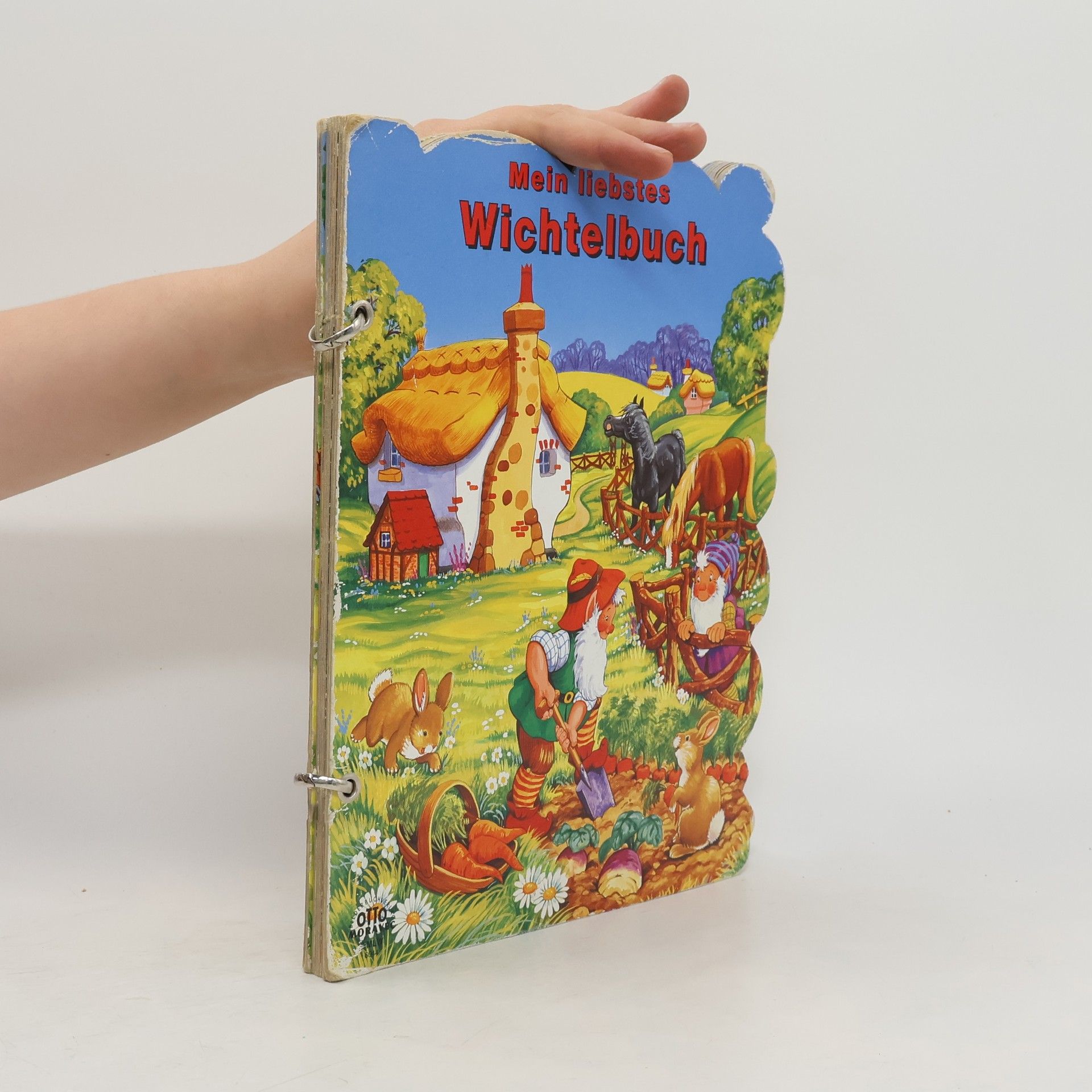 Autorenkollektiv Mein liebstes Wichtelbuch