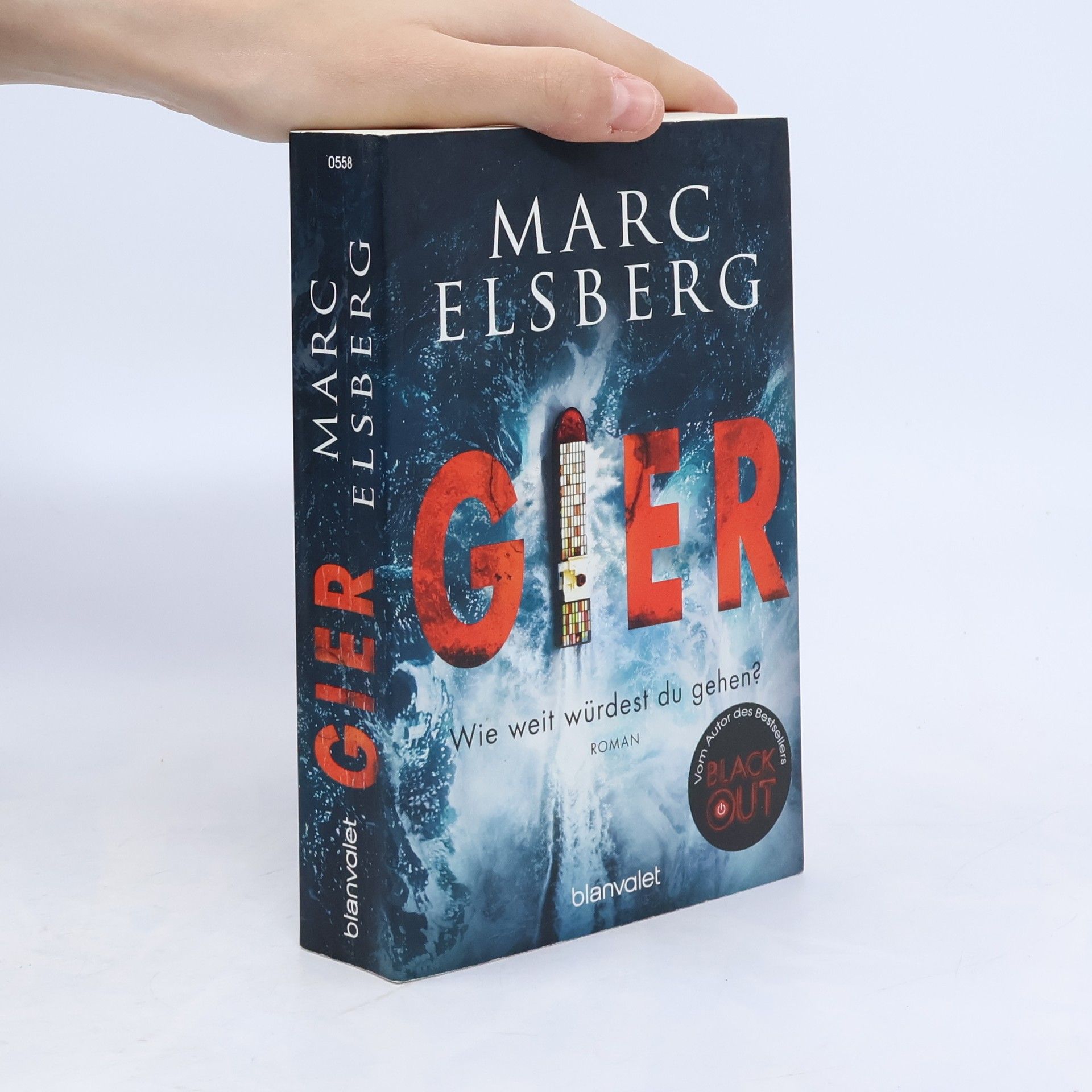 Marc Elsberg Gier