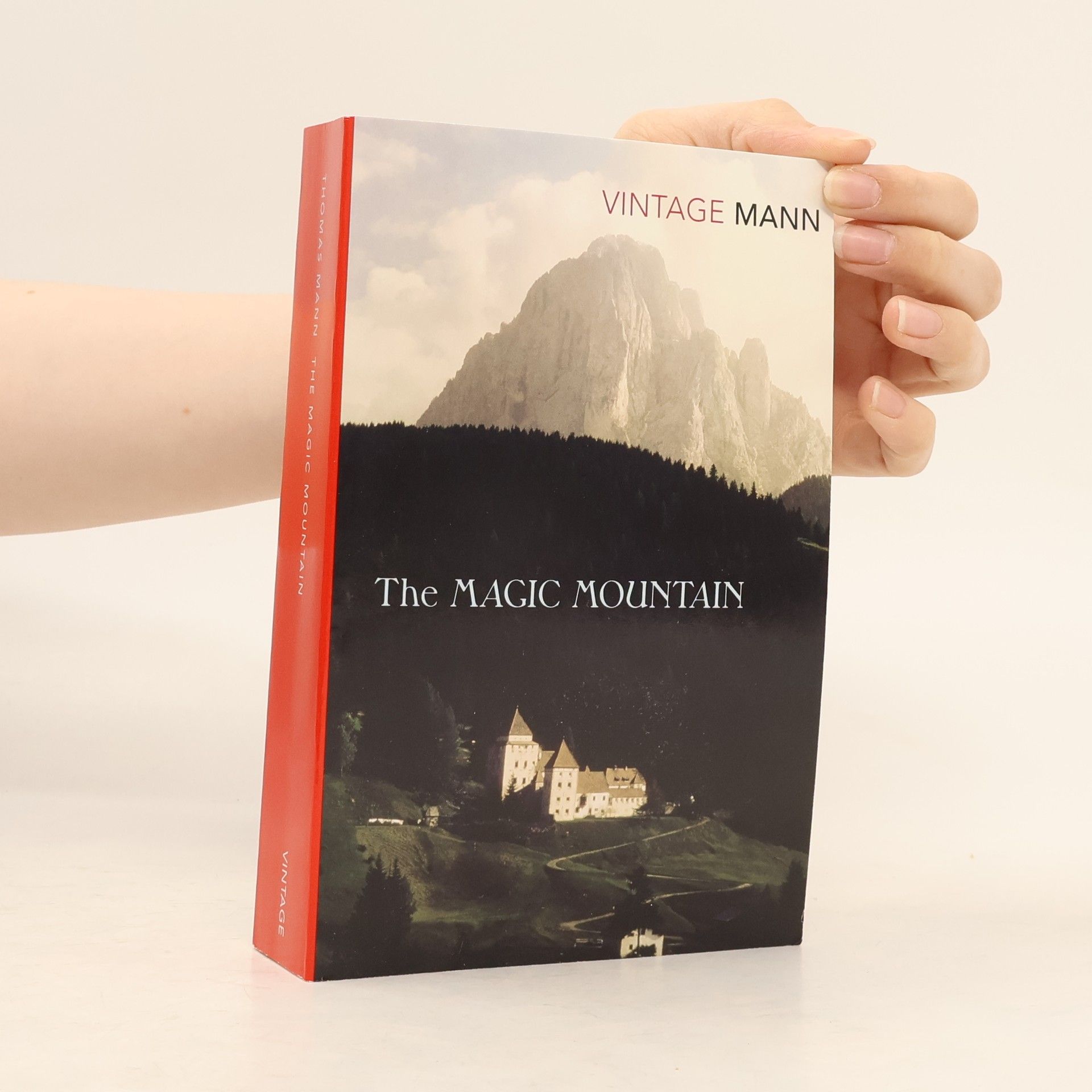 Thomas Mann The Magic Mountain
