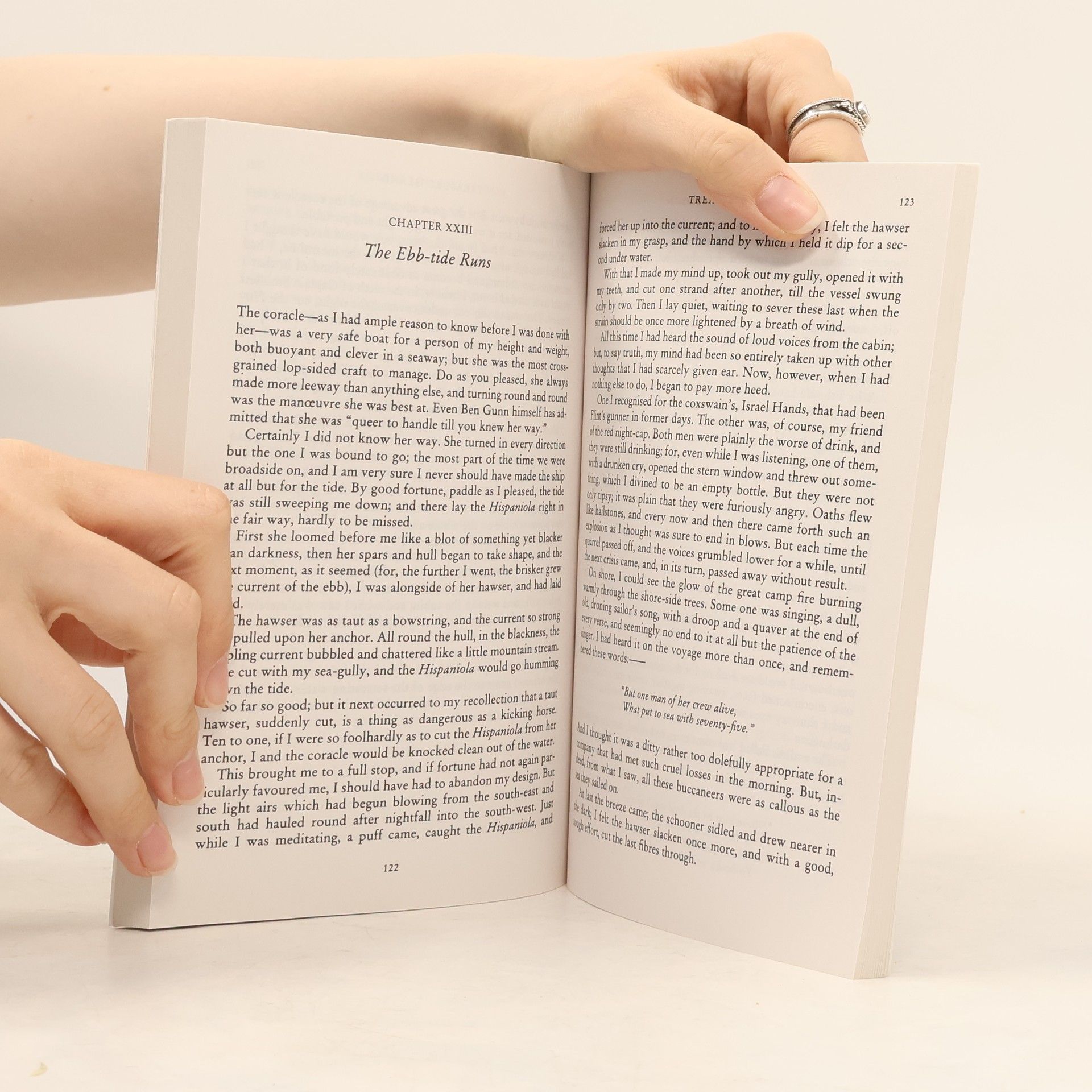 Robert Louis Stevenson Treasure Island. Die Schatzinsel, englische Ausgabe