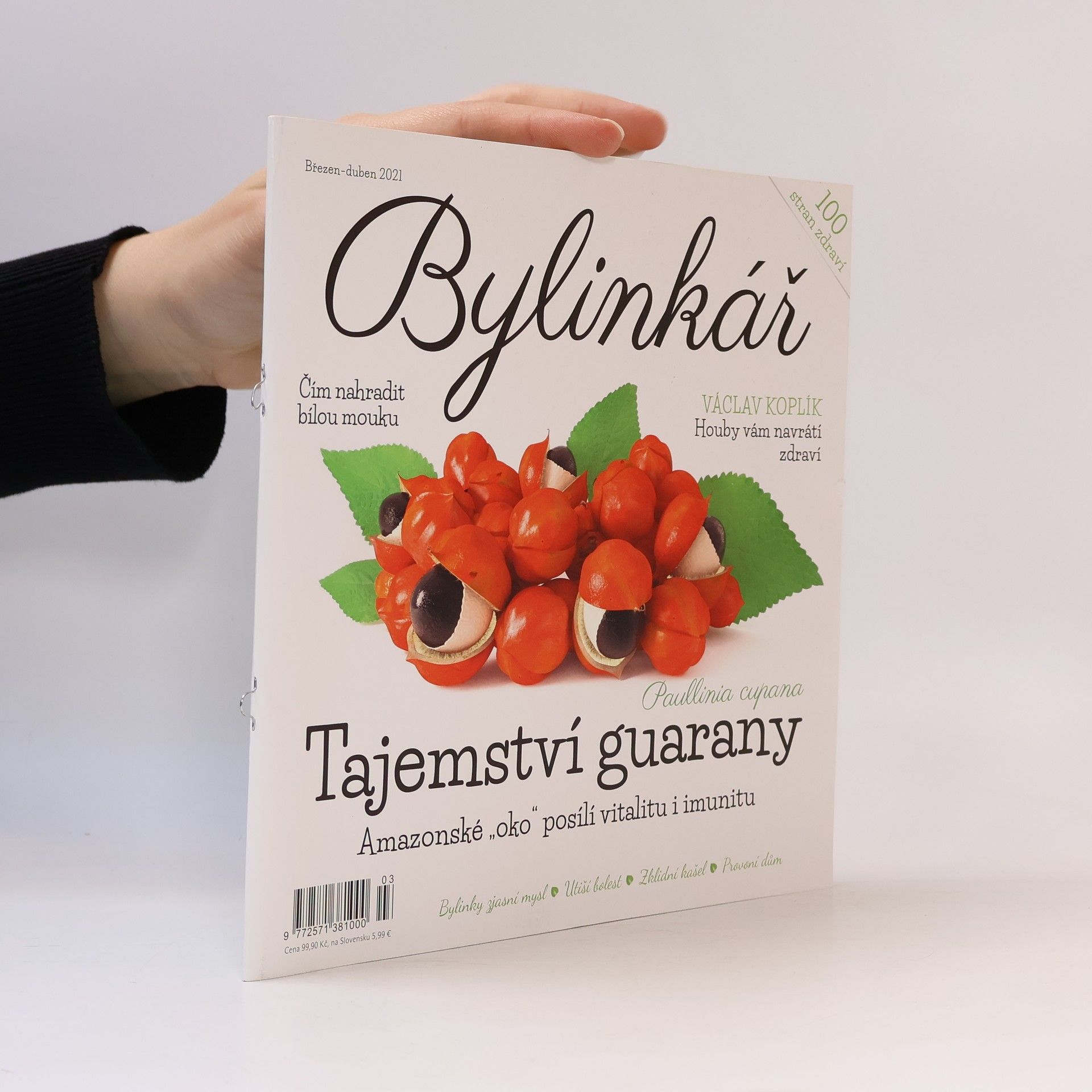 Kolektiv autorů Bylinkář. Tajemství guarany