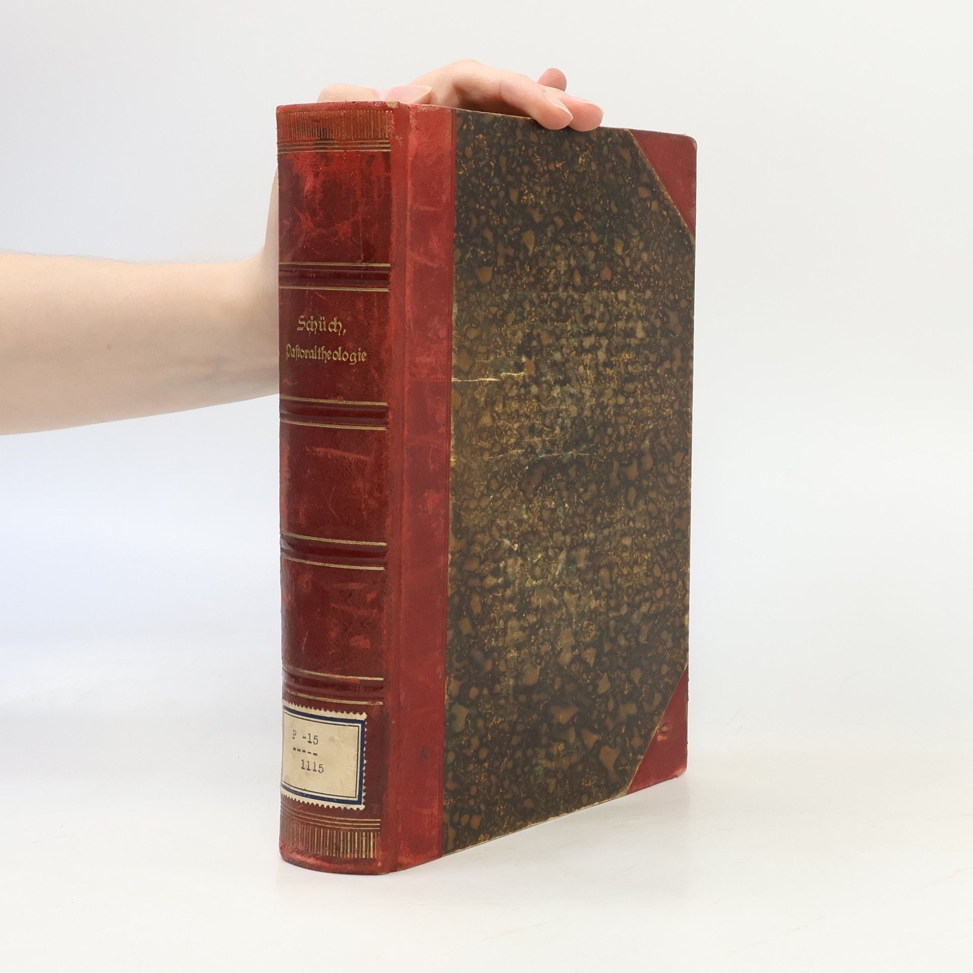 Ignaz Schüch Handbuch der Pastoral-Theologie