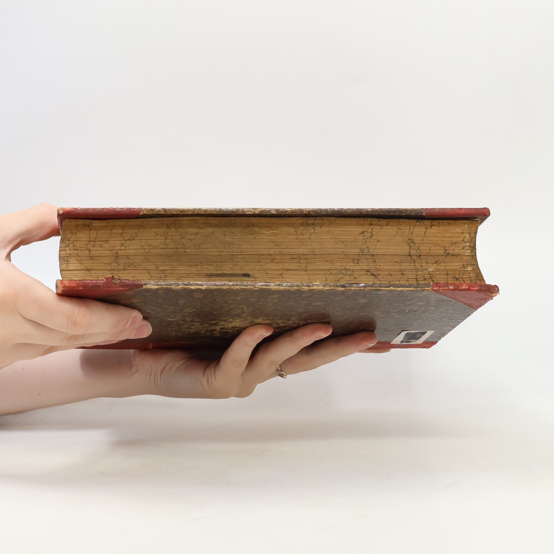 Ignaz Schüch Handbuch der Pastoral-Theologie