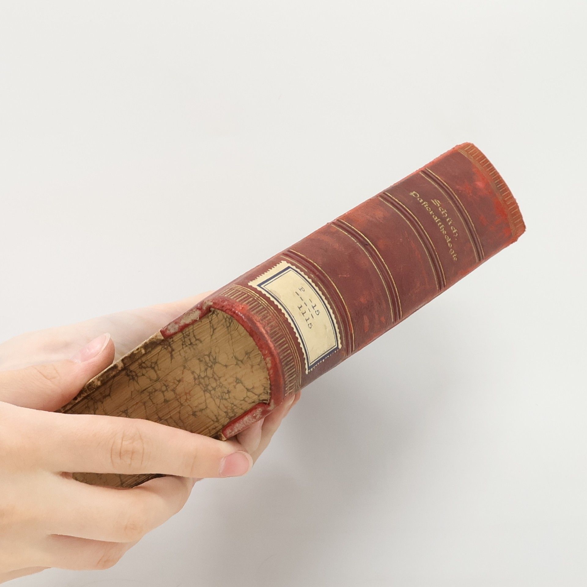 Ignaz Schüch Handbuch der Pastoral-Theologie