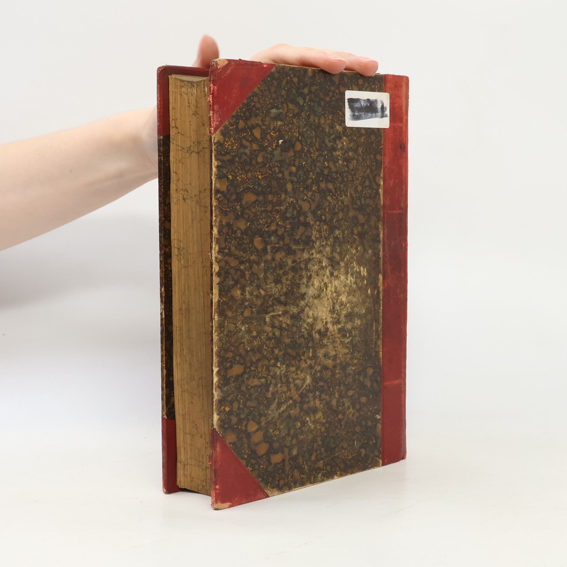 Ignaz Schüch Handbuch der Pastoral-Theologie