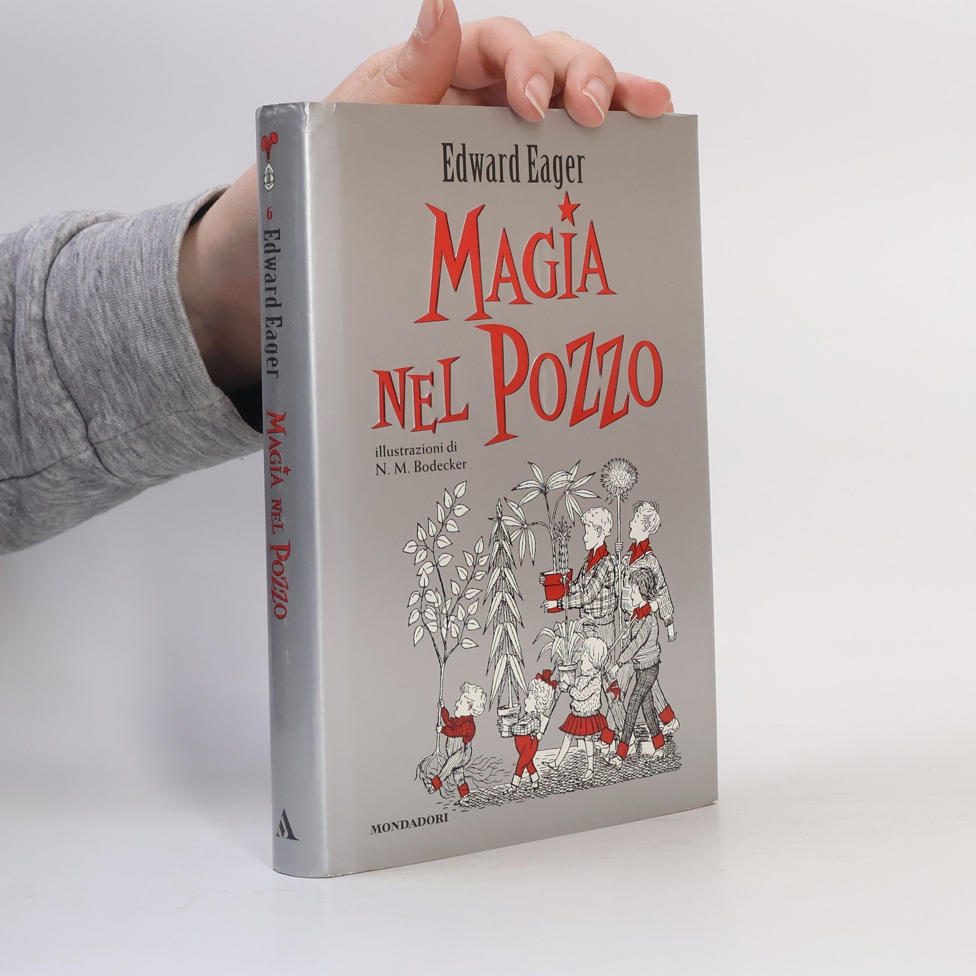 N. M. Bodecker Magia nel pozzo