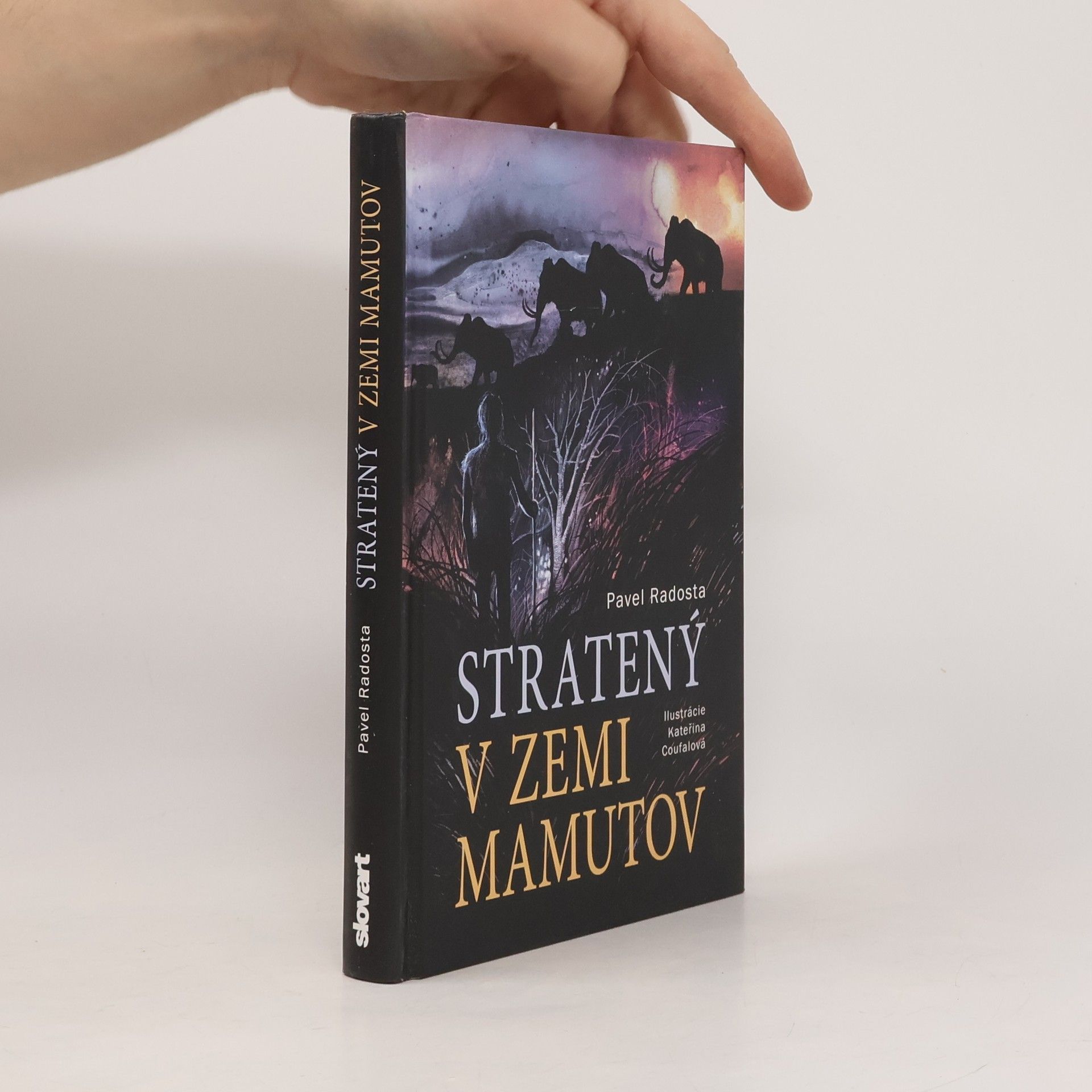 Stratený v zemi mamutov