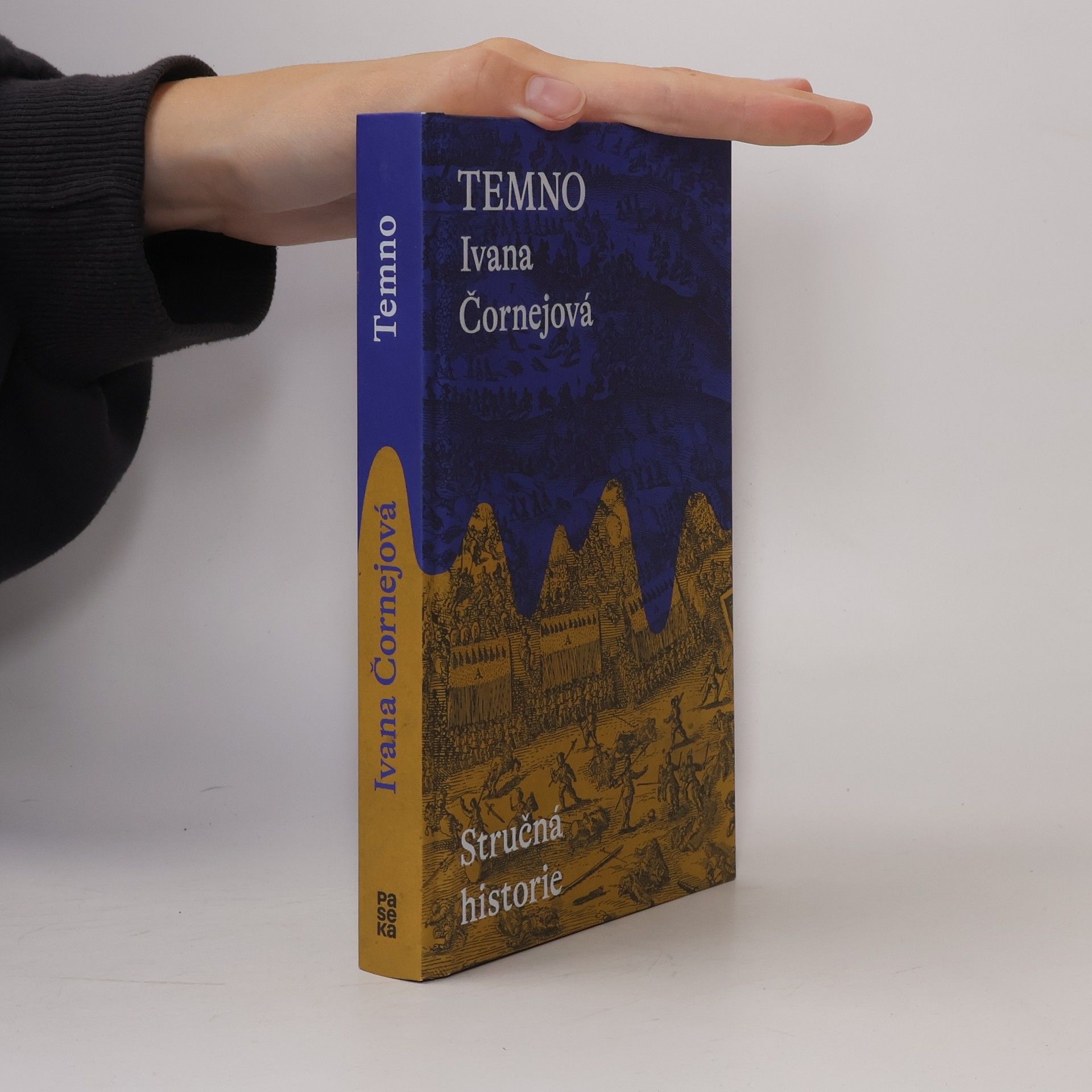 Ivana Čornejová Temno. Stručná historie