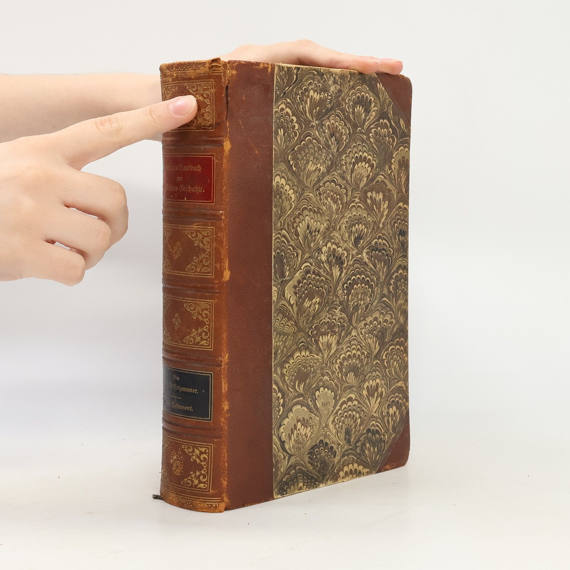 Johann Baptist Holzammer Schusters Handbuch zur Biblischen Geschichte.  Erster Band. Das Alte Testament enthaltend