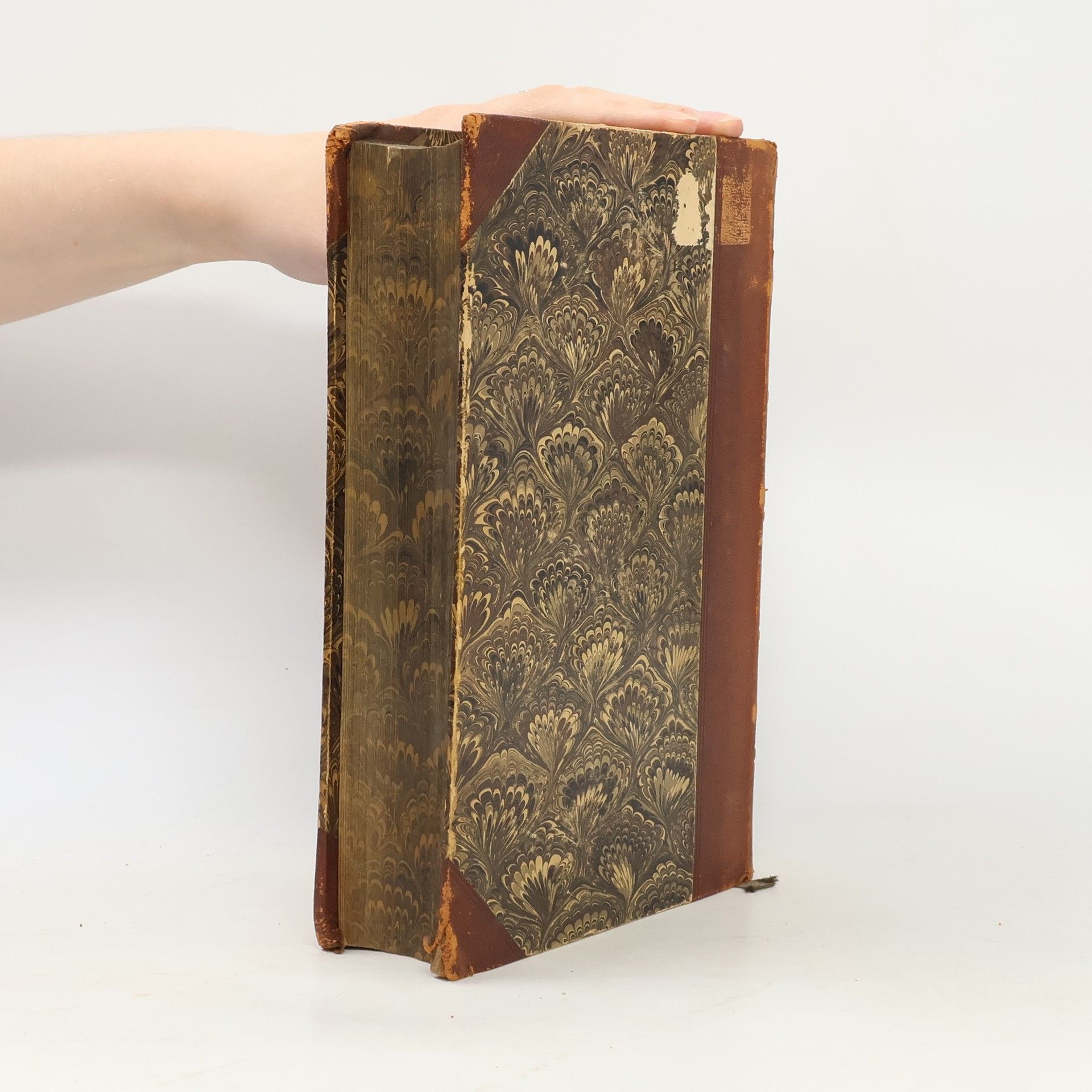 Johann Baptist Holzammer Schusters Handbuch zur Biblischen Geschichte.  Erster Band. Das Alte Testament enthaltend