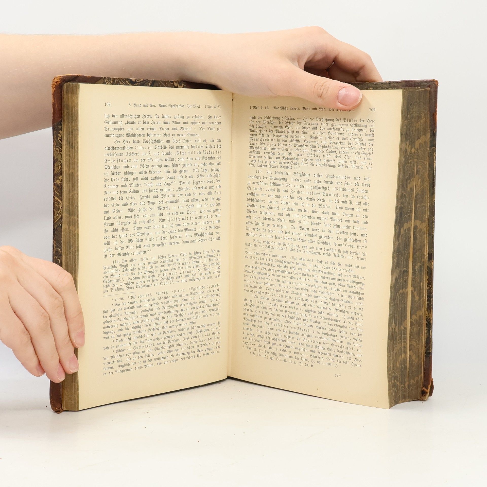 Johann Baptist Holzammer Schusters Handbuch zur Biblischen Geschichte.  Erster Band. Das Alte Testament enthaltend