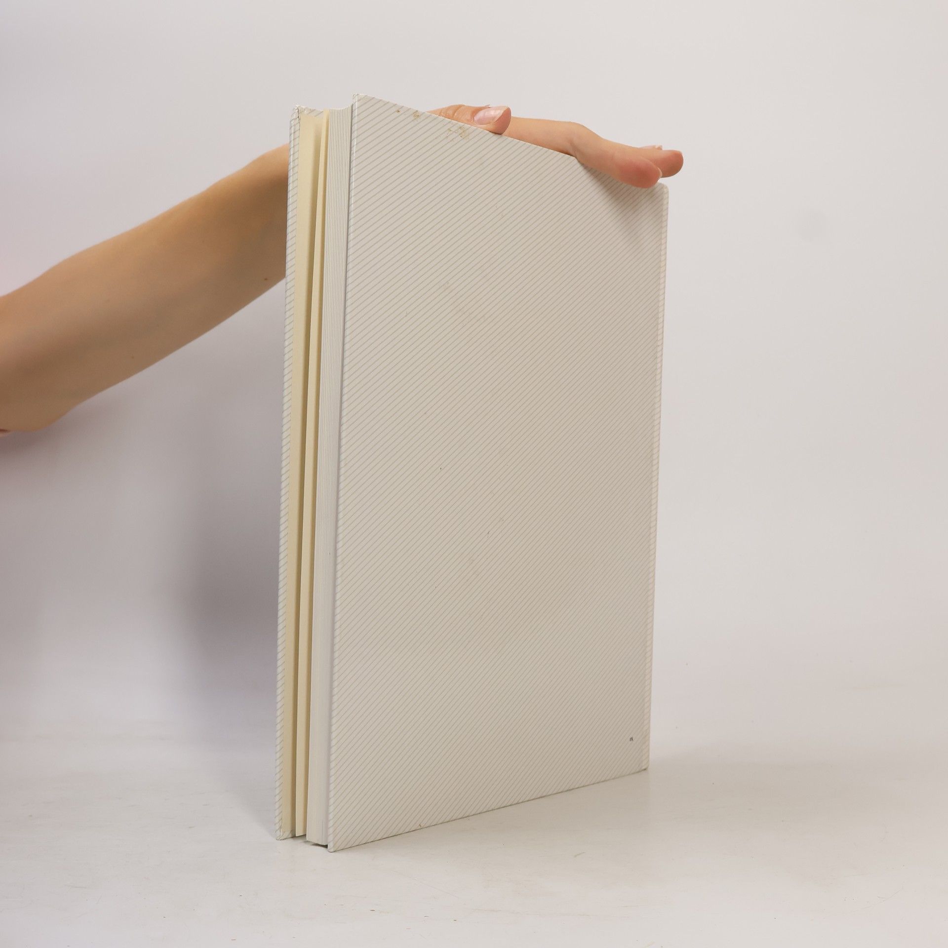 Autores varios Bon Appétit