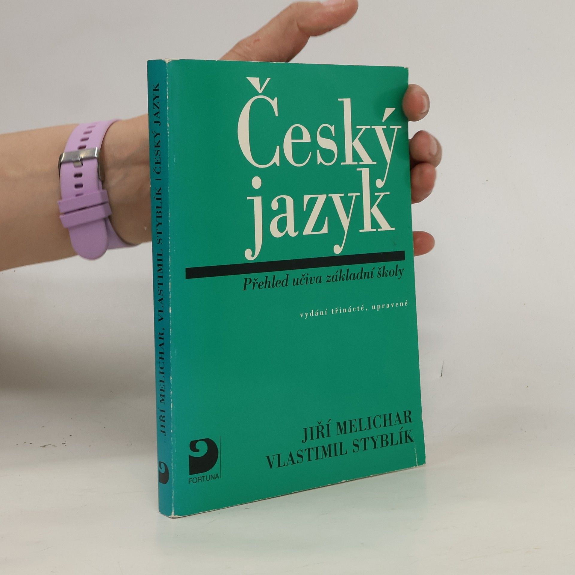 Vlastimil Styblík Český jazyk: Přehled učiva základní školy