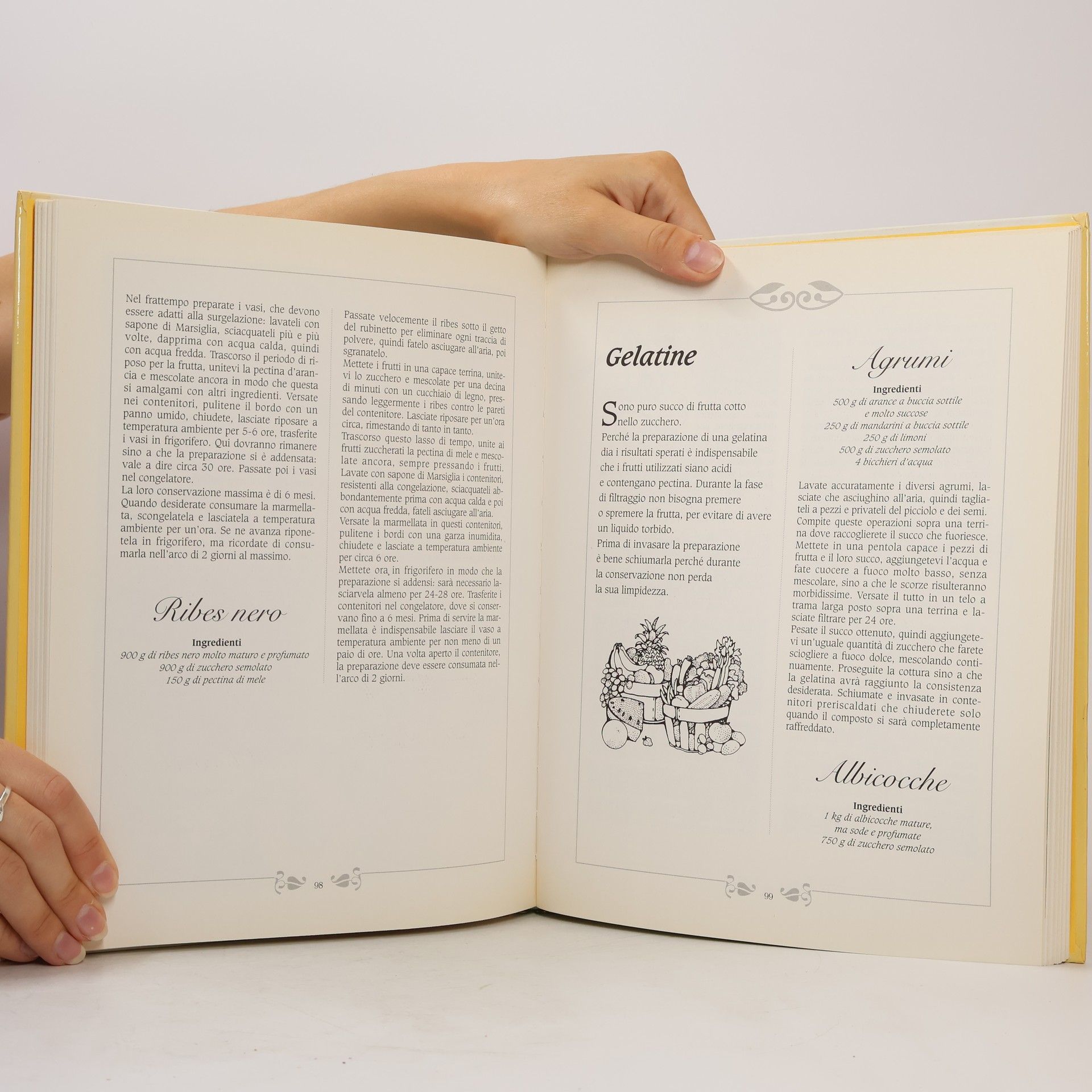 Autorenkollektiv Il libro completo delle marmellate e delle conserve