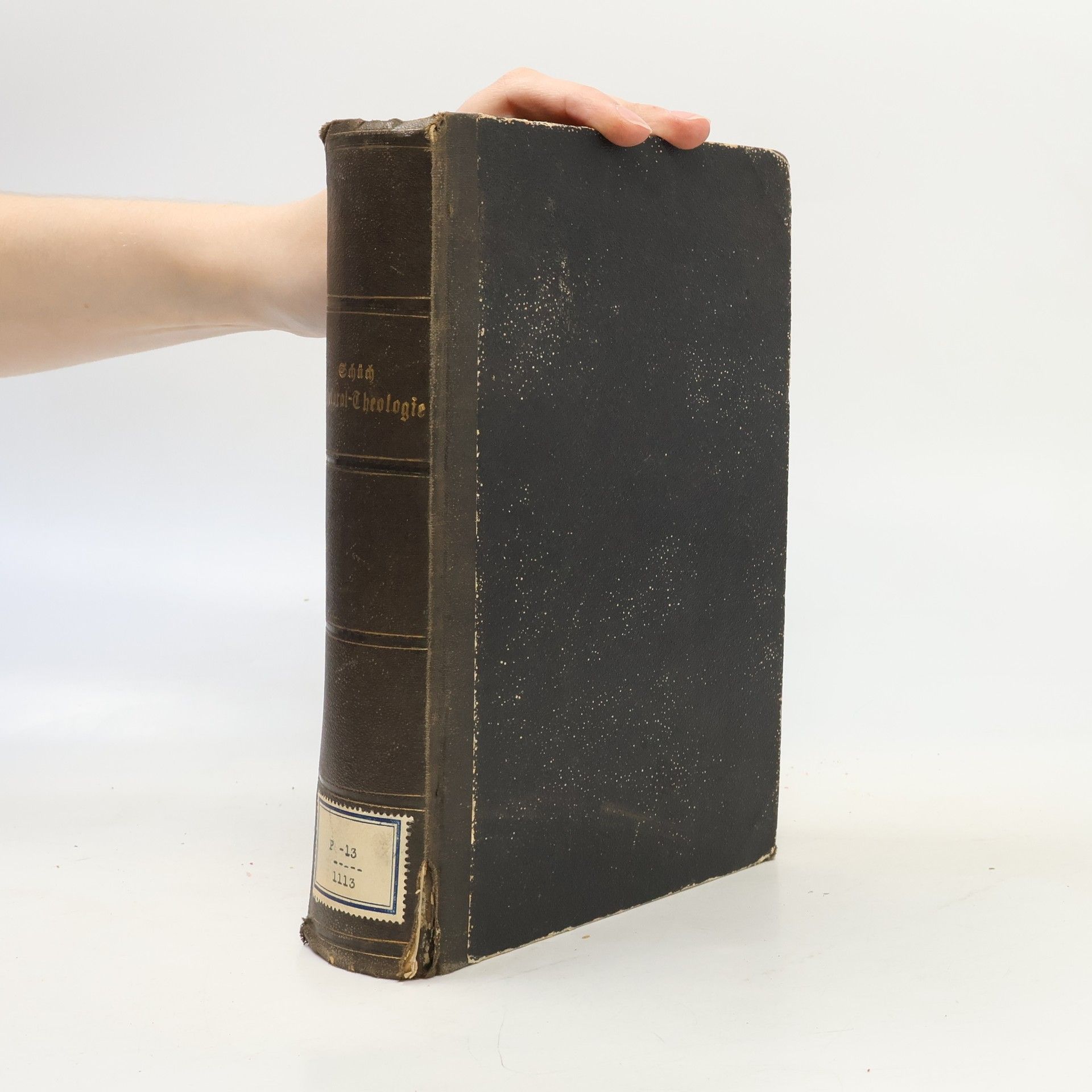 Ignaz Schüch Handbuch der Pastoral-Theologie