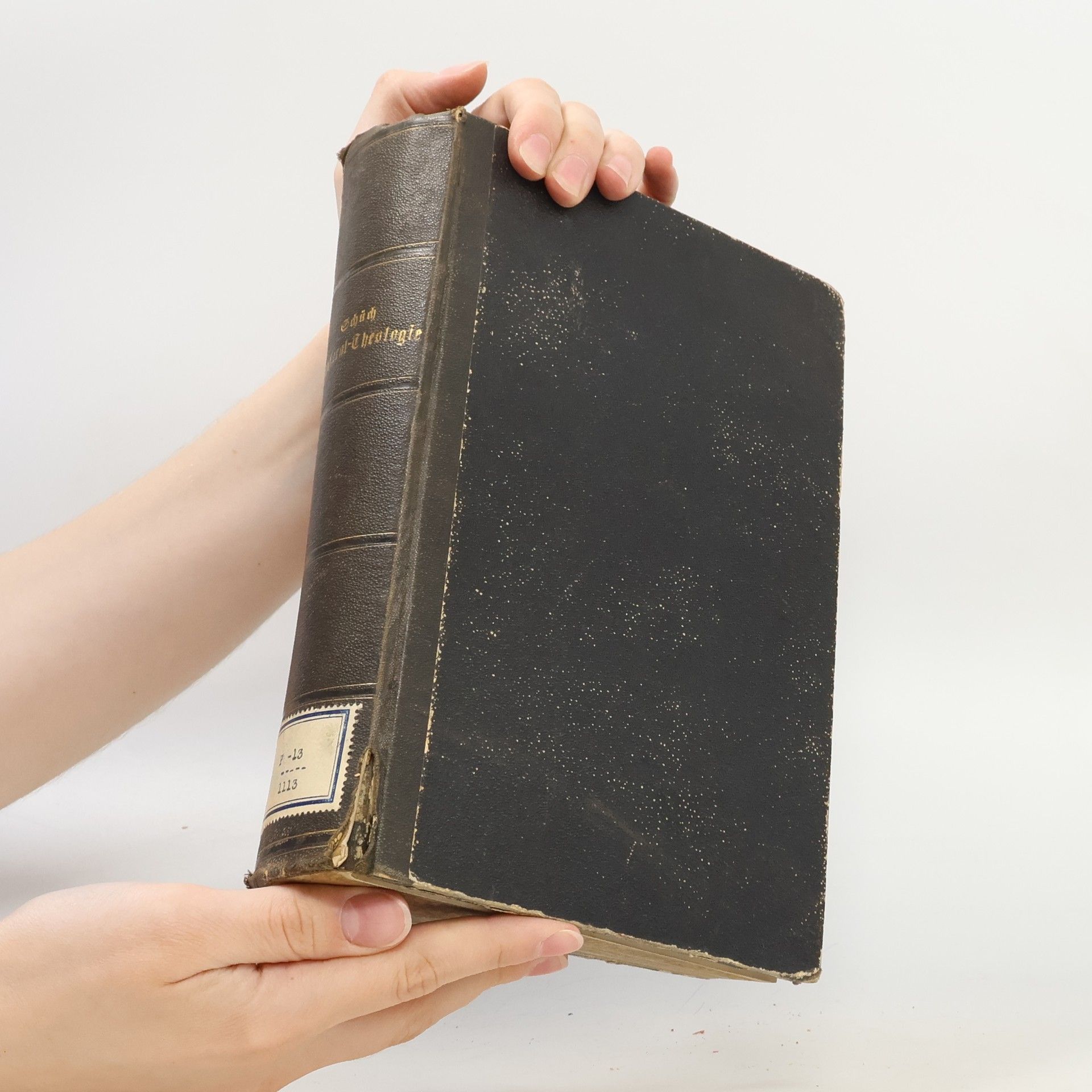 Ignaz Schüch Handbuch der Pastoral-Theologie
