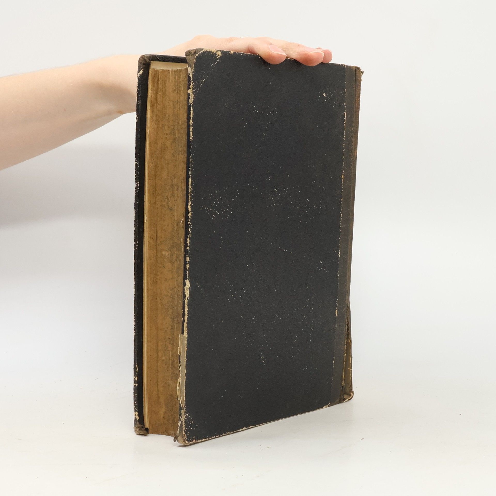 Ignaz Schüch Handbuch der Pastoral-Theologie