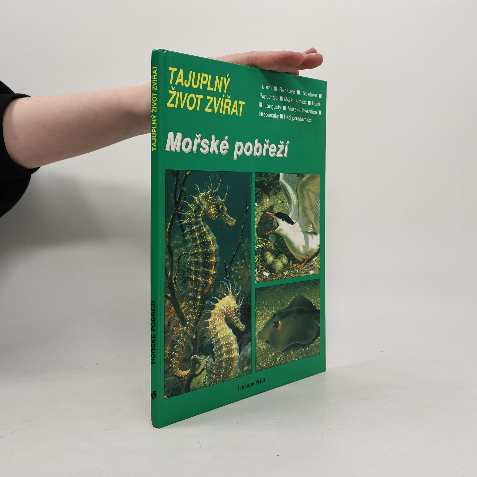 Tajuplný život zvířat: Mořské pobřeží
