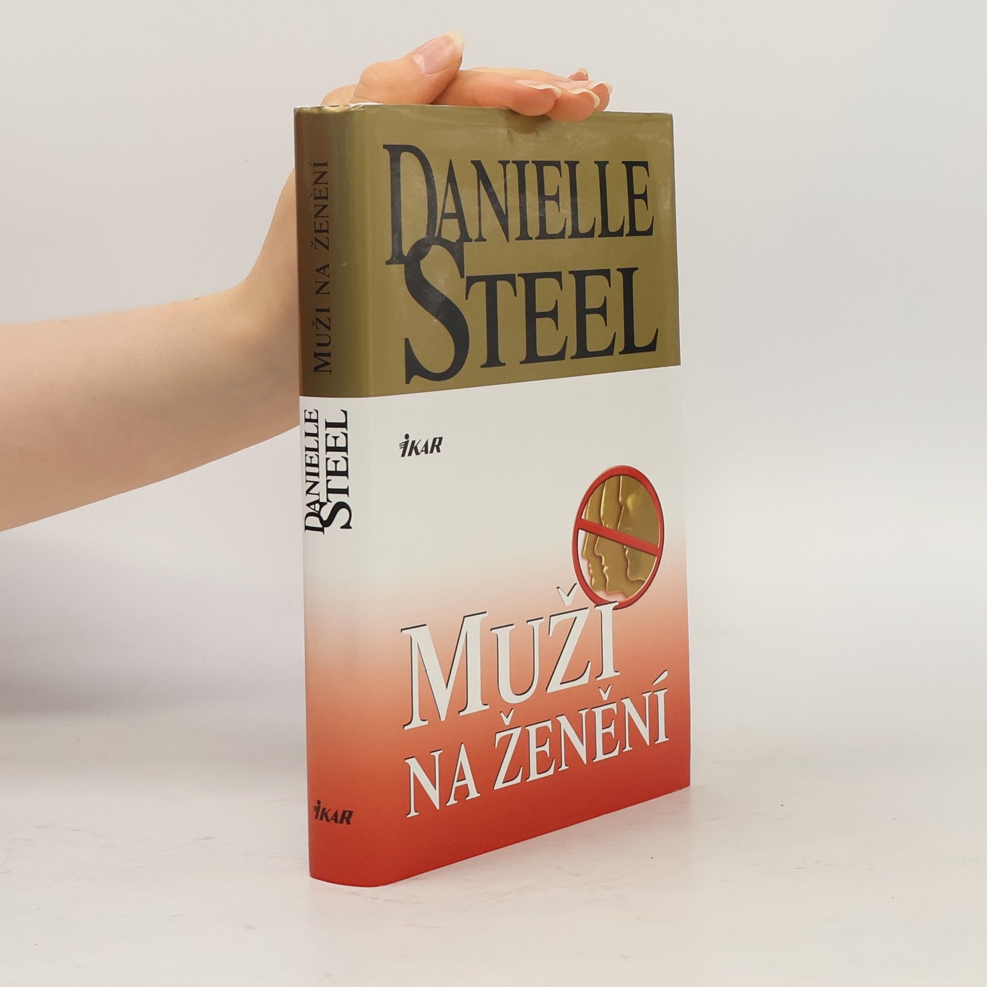 Danielle Steel Muži na ženění