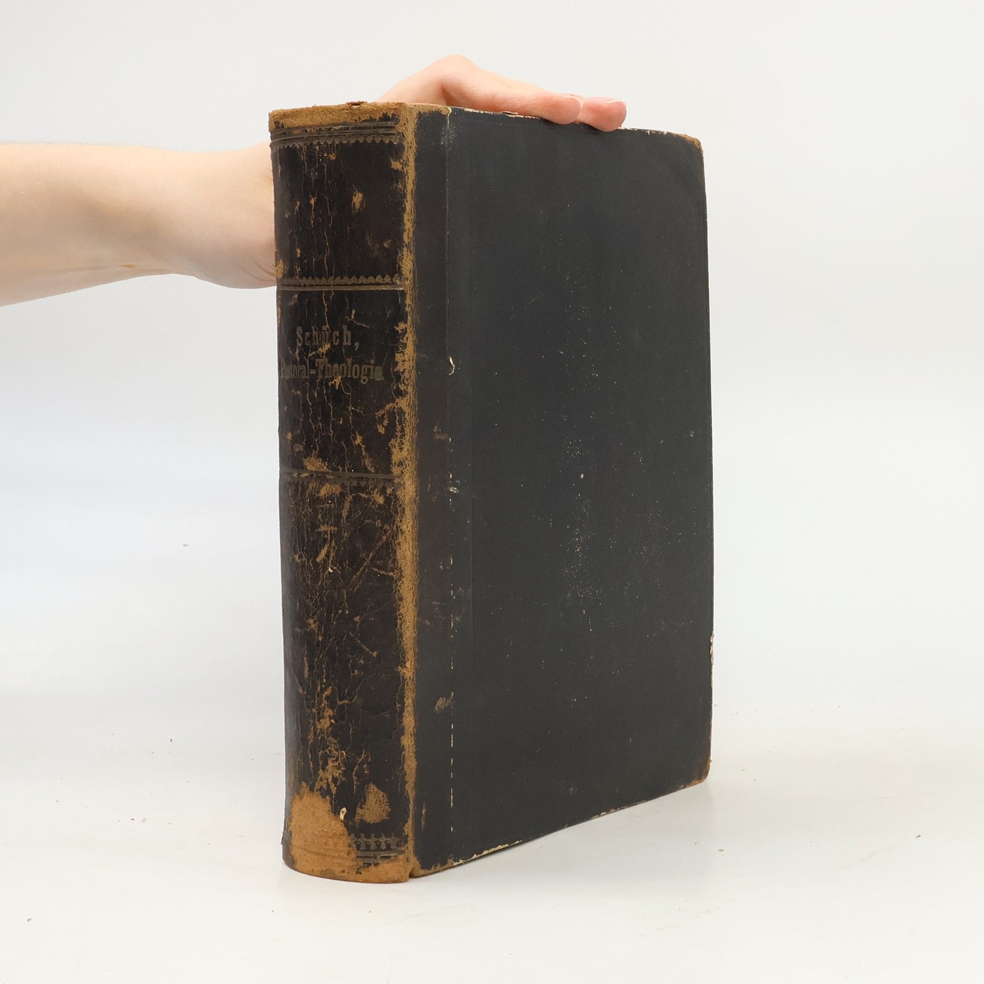 Ignaz Schüch Handbuch der Pastoral-Theologie