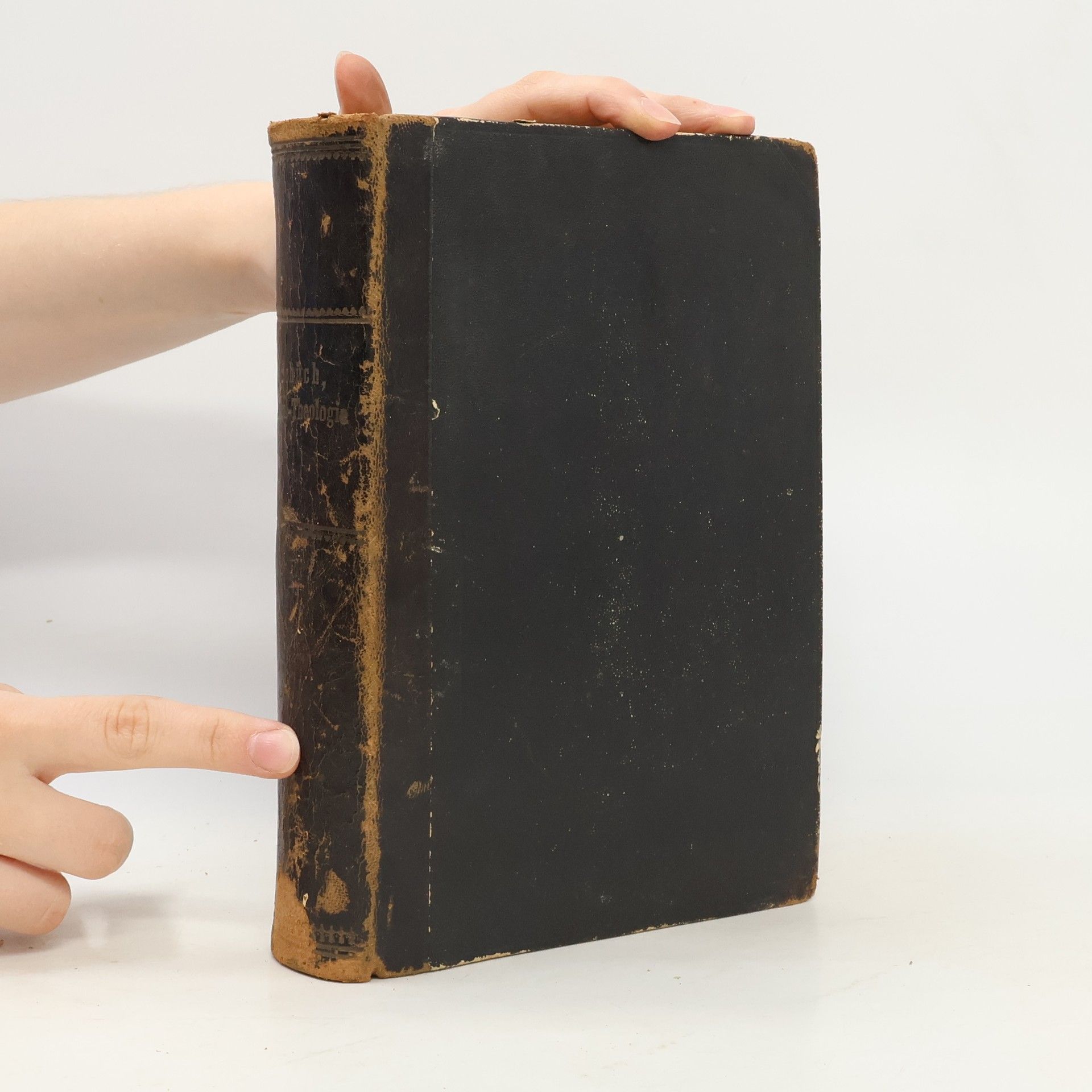 Ignaz Schüch Handbuch der Pastoral-Theologie