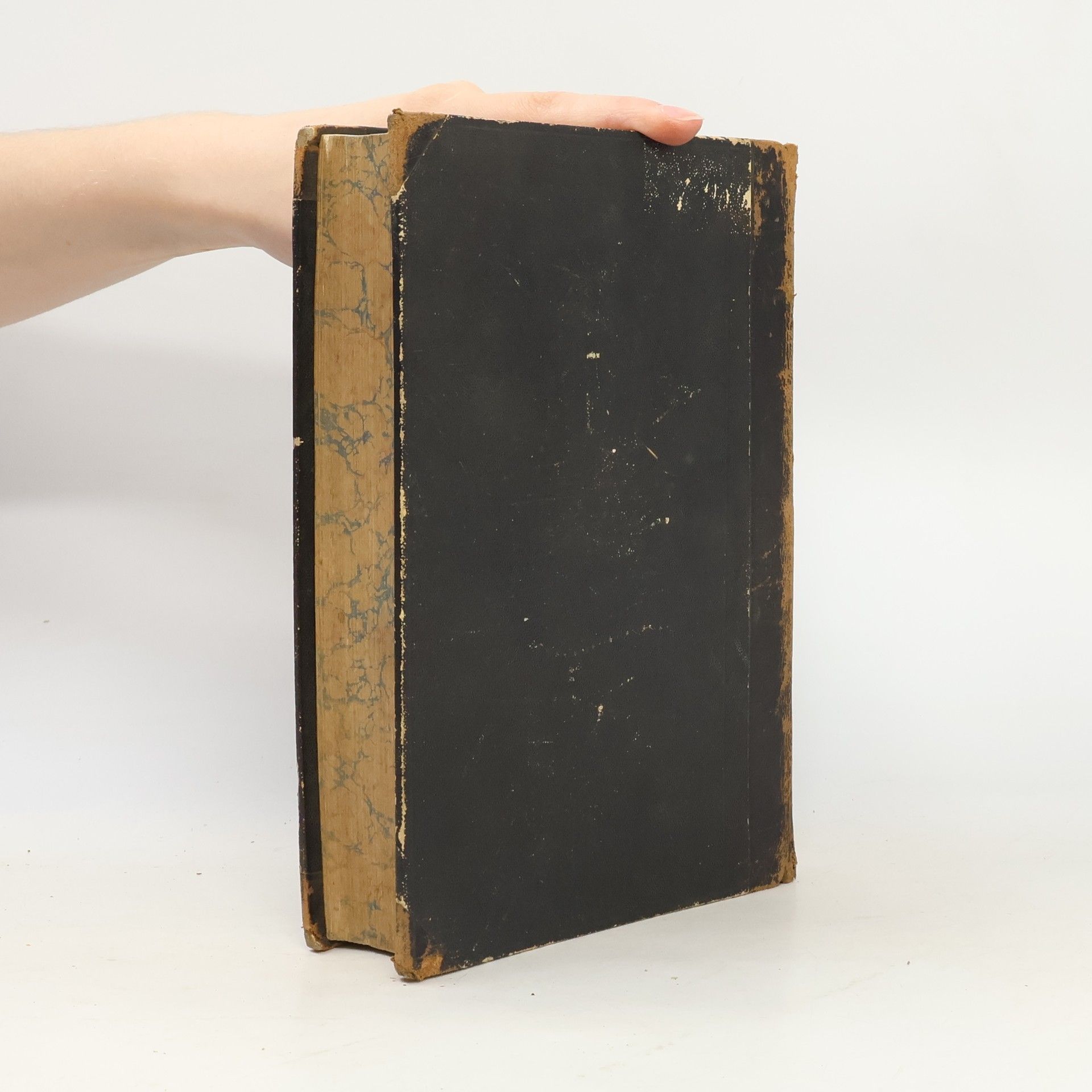 Ignaz Schüch Handbuch der Pastoral-Theologie