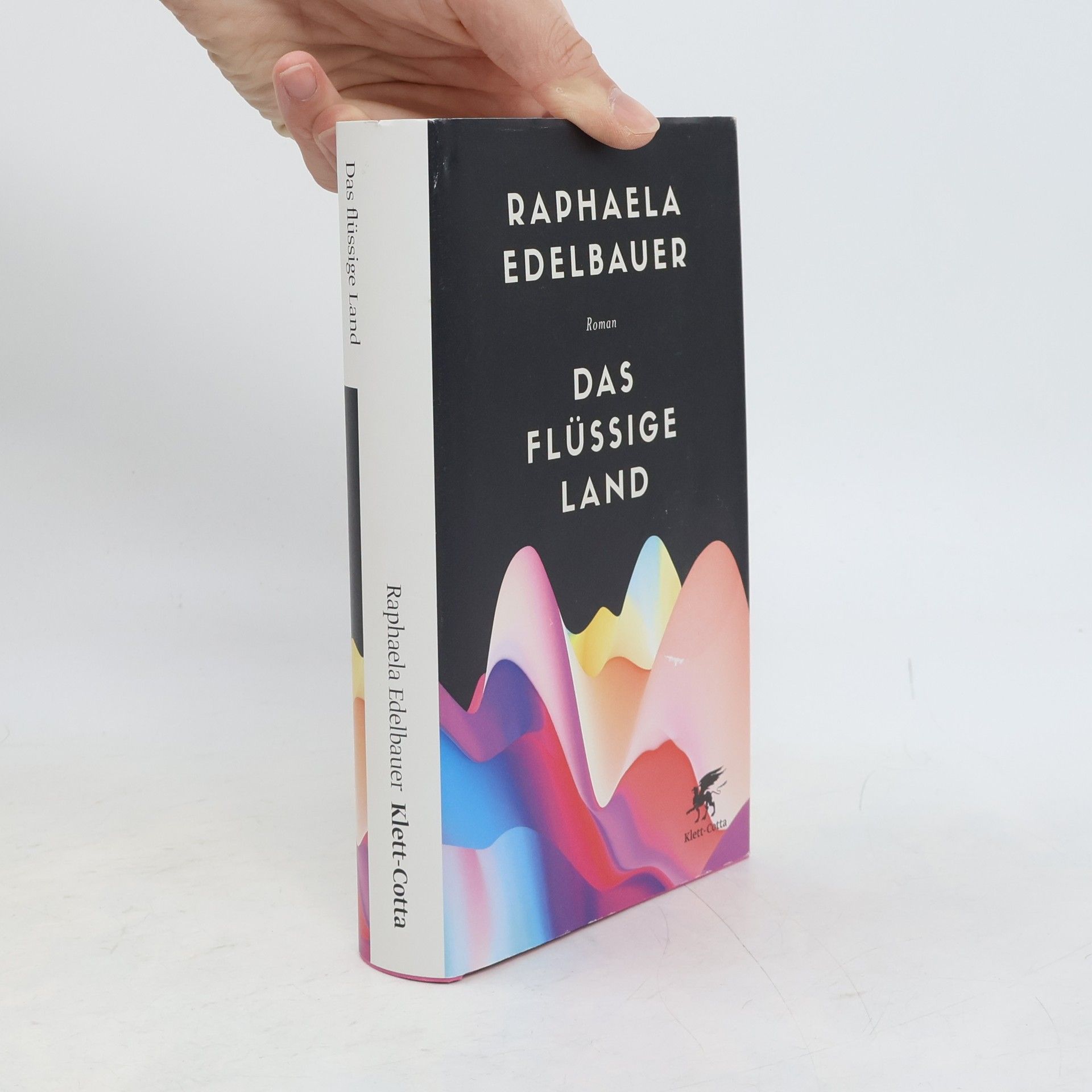 Raphaela Edelbauer Das flüssige Land