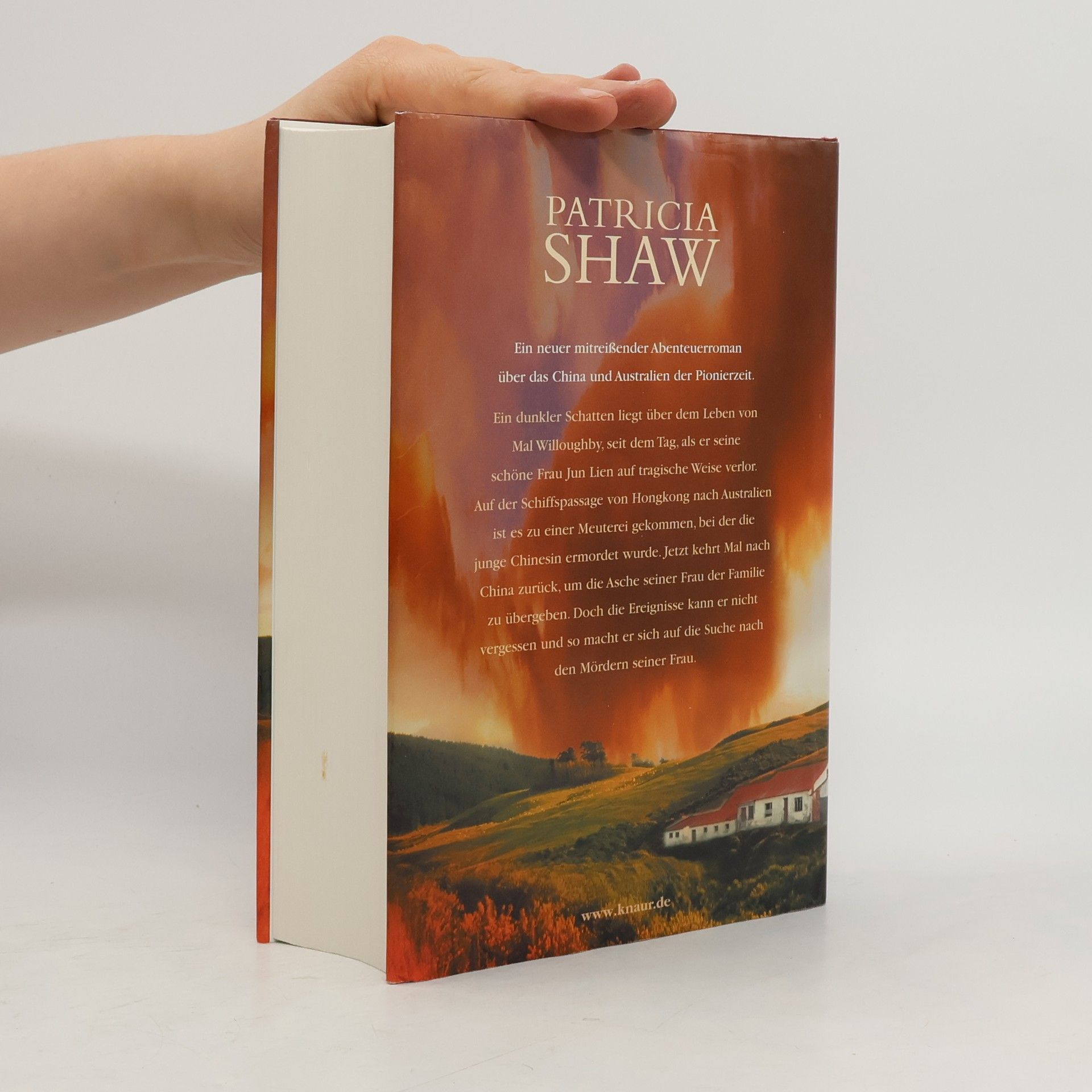 Patricia Shaw Wind des Südens