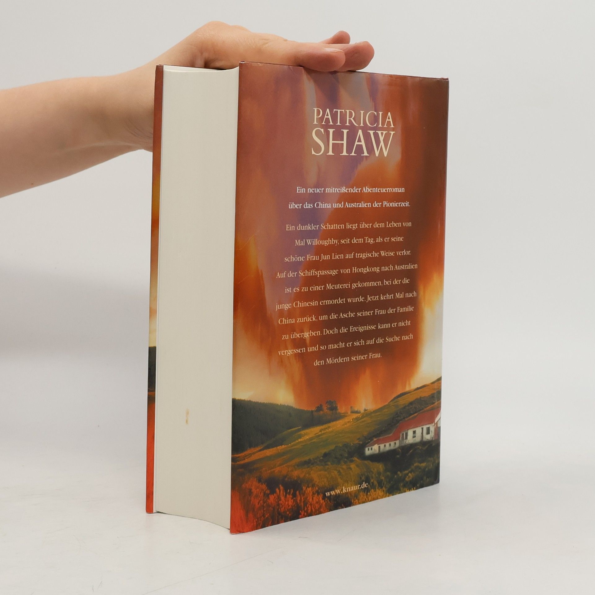 Patricia Shaw Wind des Südens