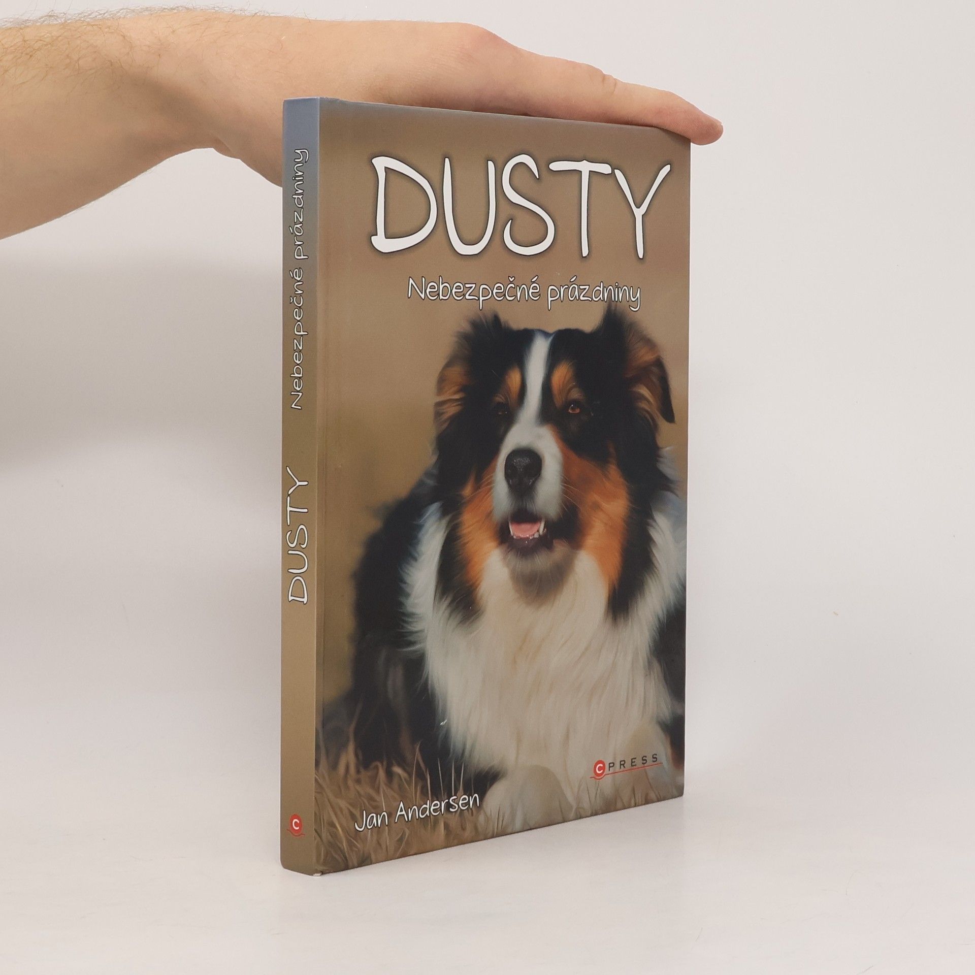 Wolfram Hänel Dusty: Nebezpečné prázdniny