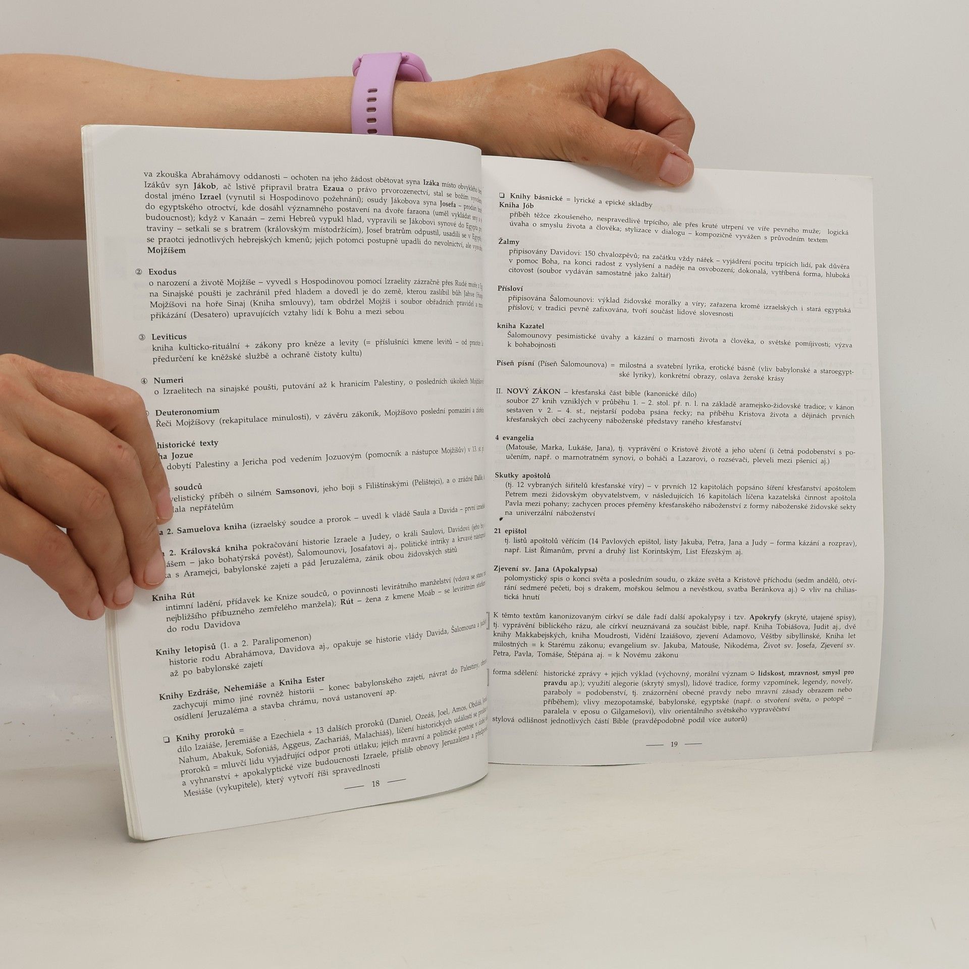 Marie Sochrová Čtenářský deník k Literatuře v kostce
