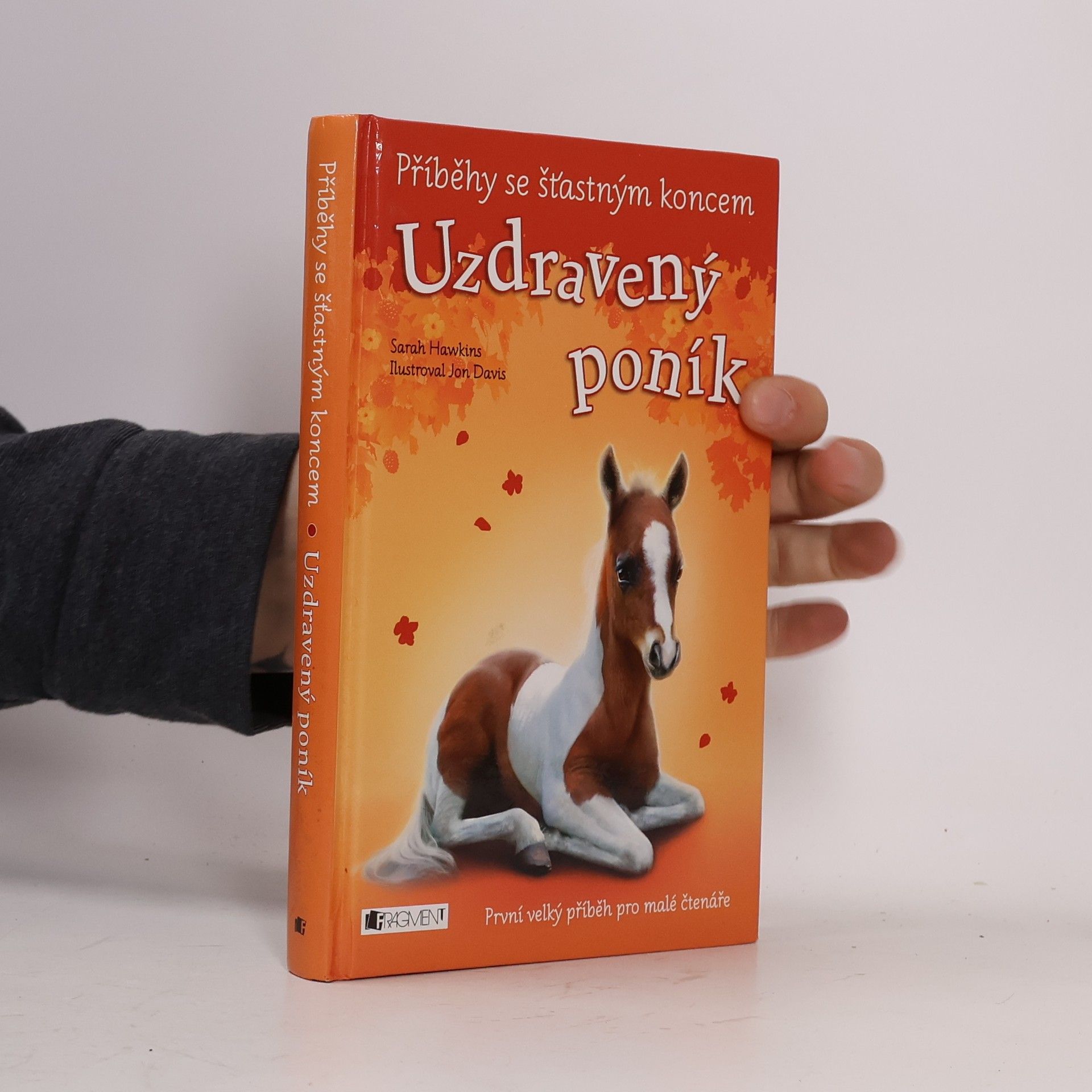 Eva Brožová Uzdravený poník