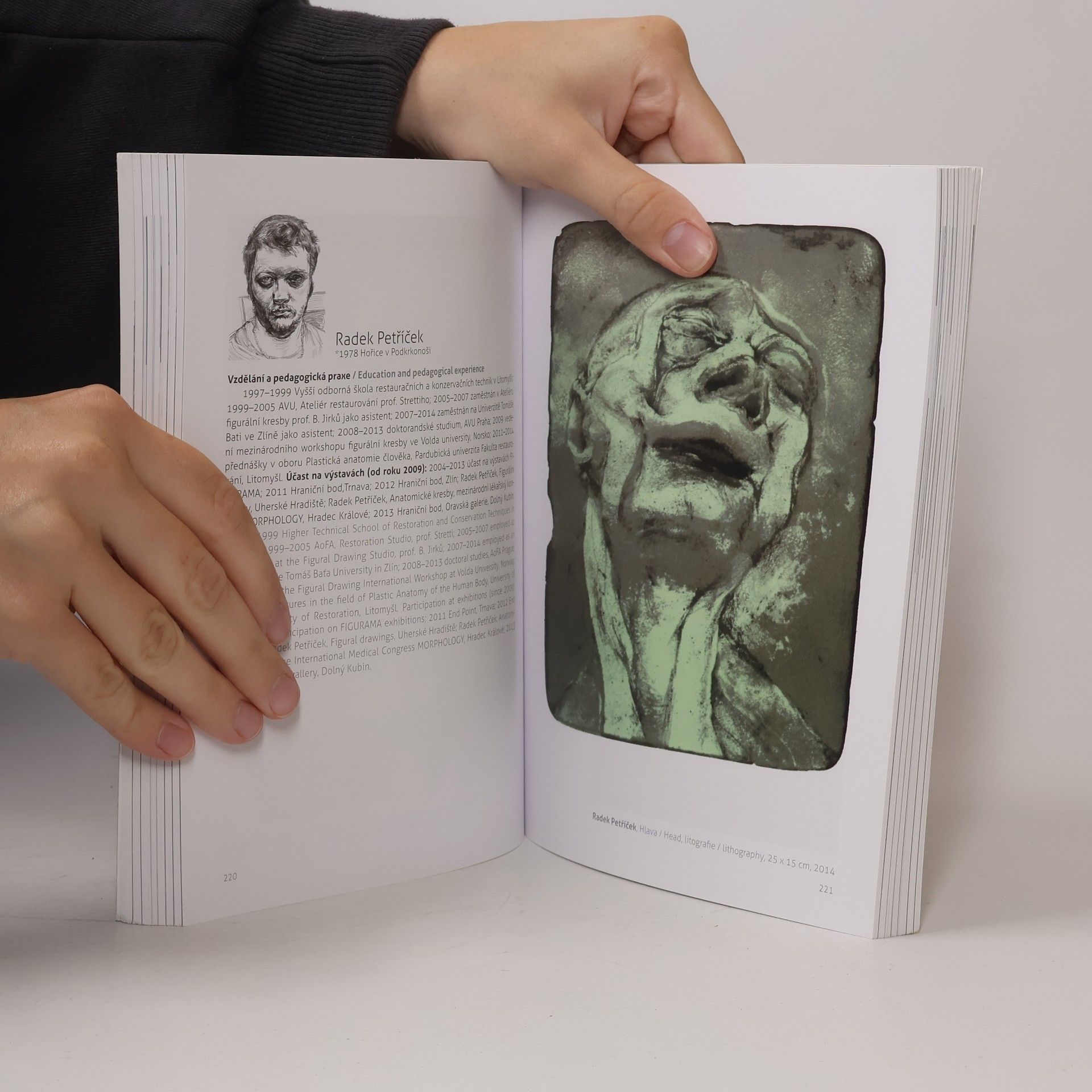 Kolektiv autorů Figurama 15