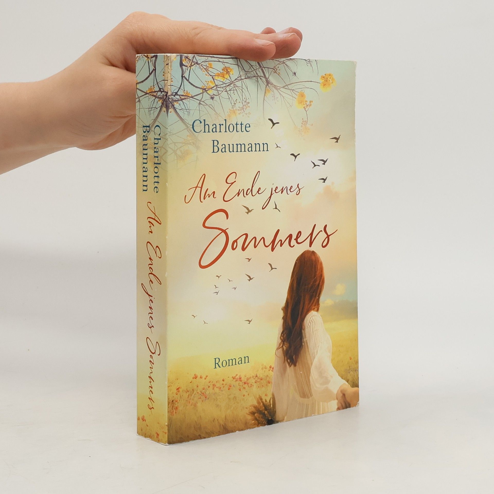 Charlotte Baumann Am Ende jenes Sommers