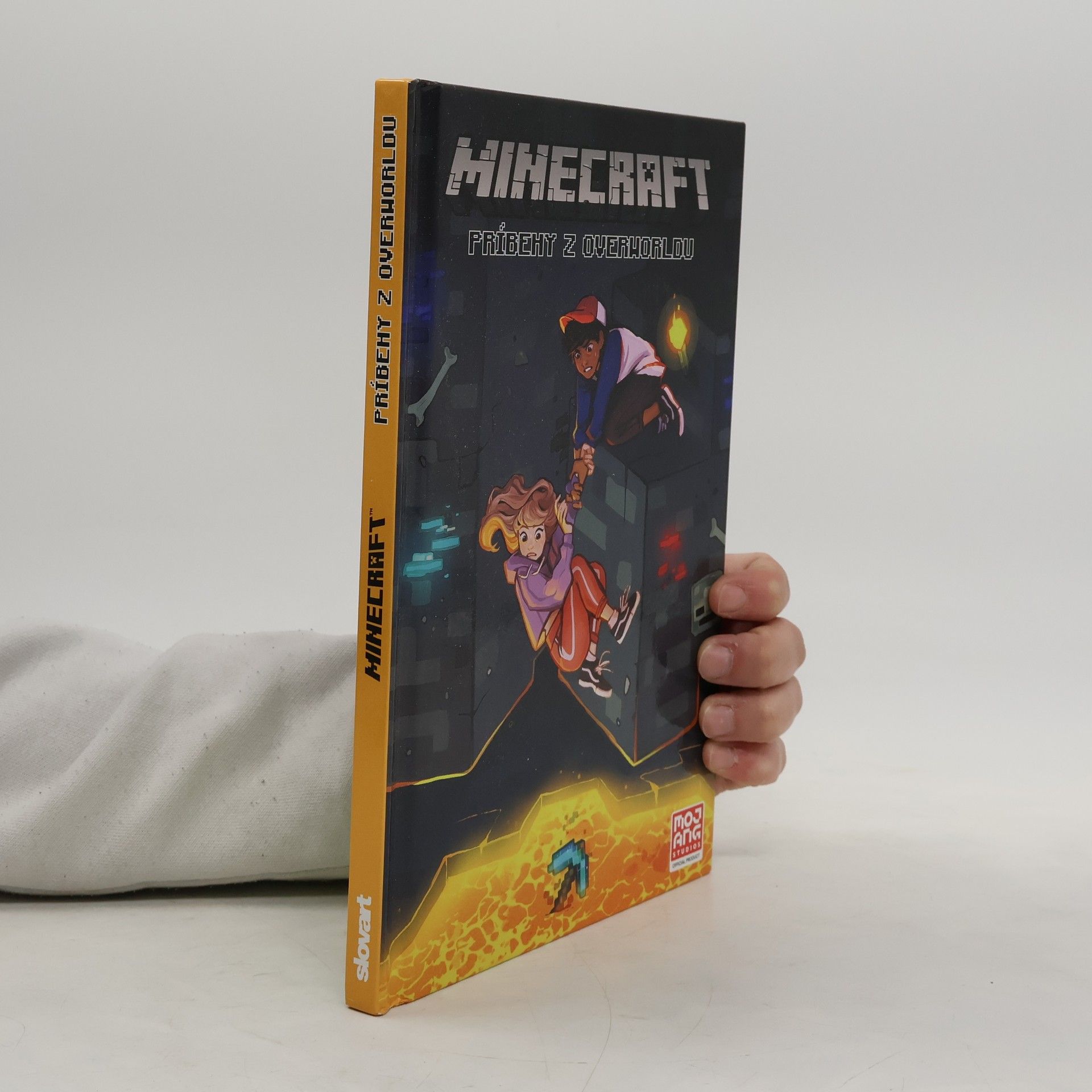 Ian Flynn Minecraft: Príbehy z Overworldu