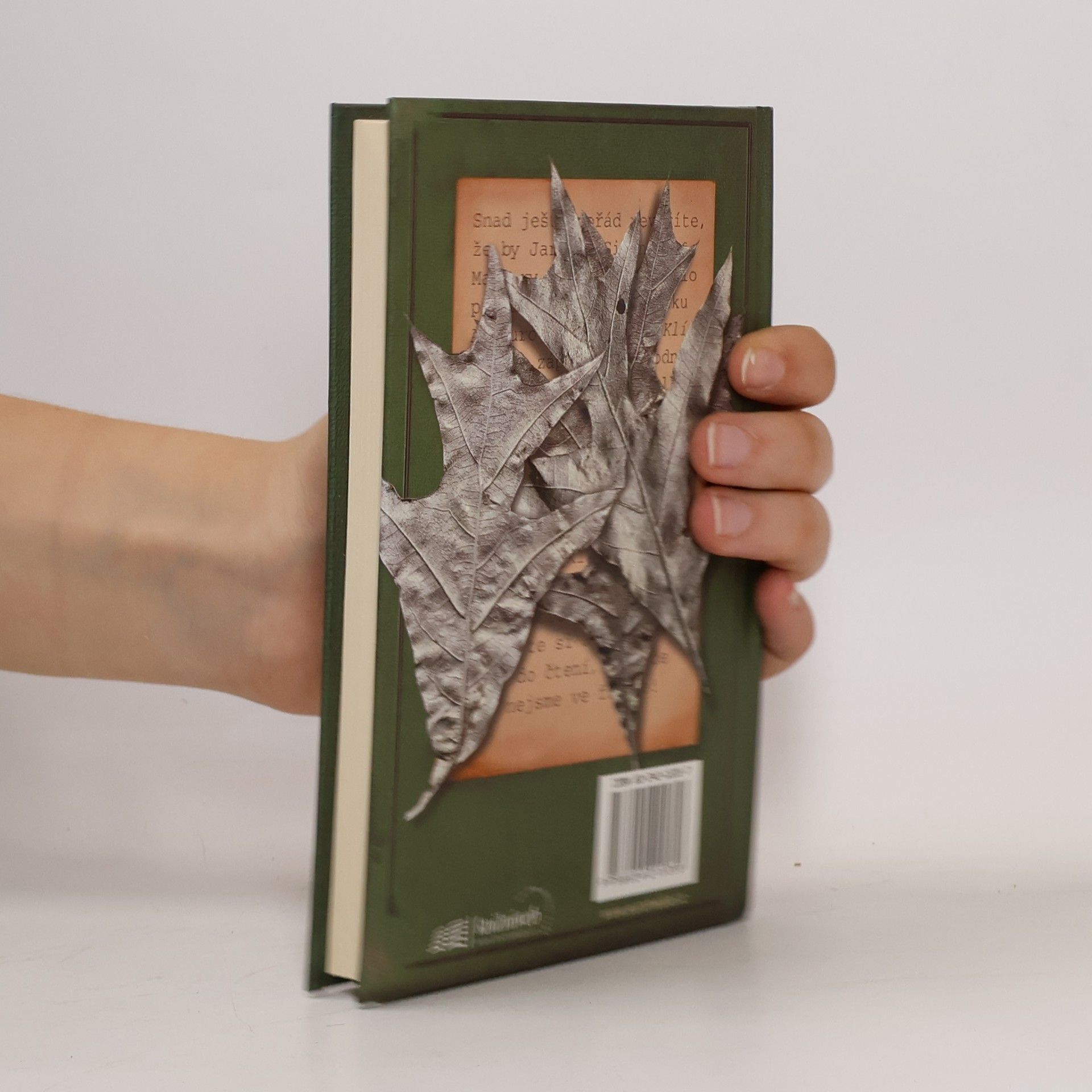 Tony DiTerlizzi Kronika rodu Spiderwicků. Kniha 4, Strom ze železa