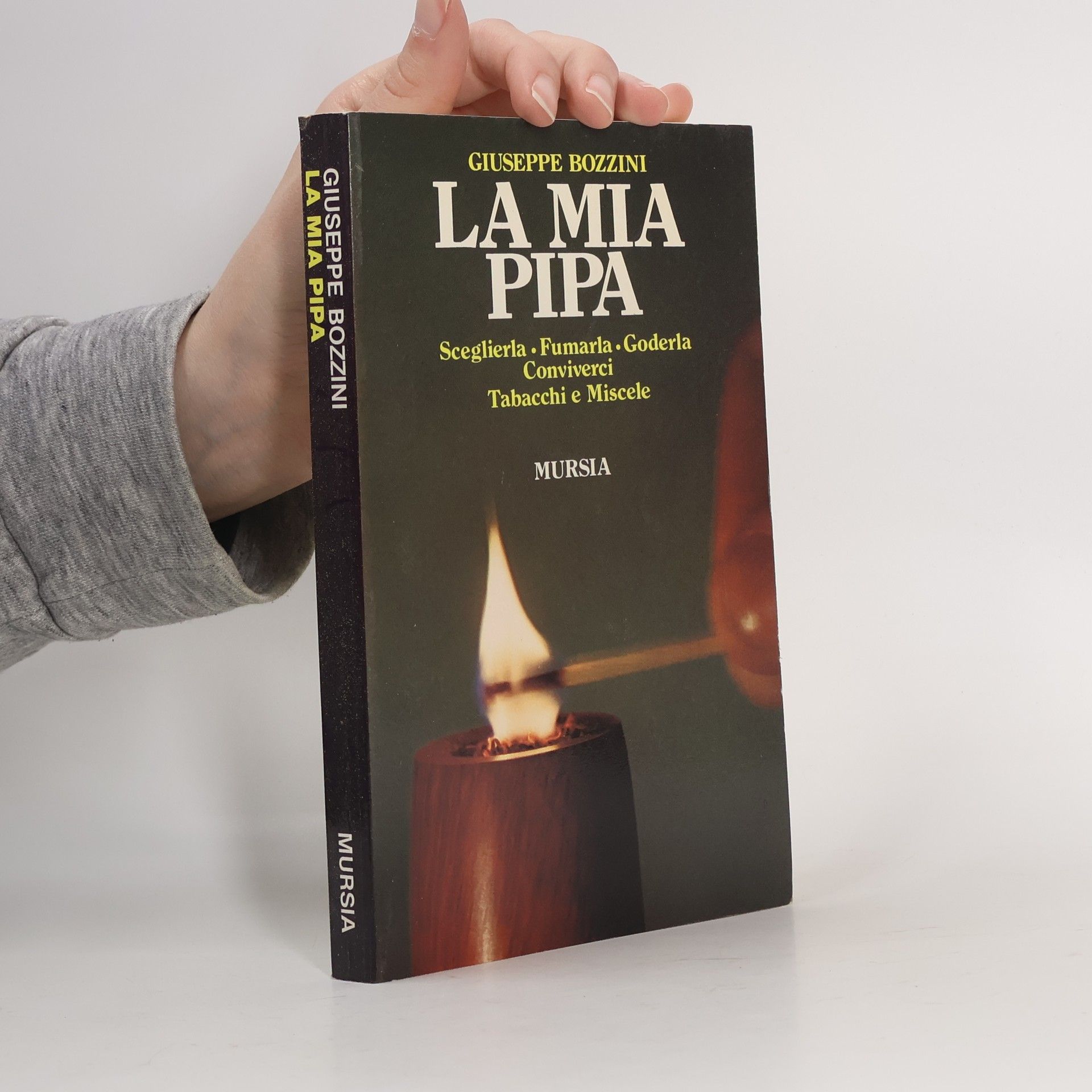 Giuseppe Bozzini La mia pipa. Sceglierla fumarla goderla conviverci. Tabacchi e miscele