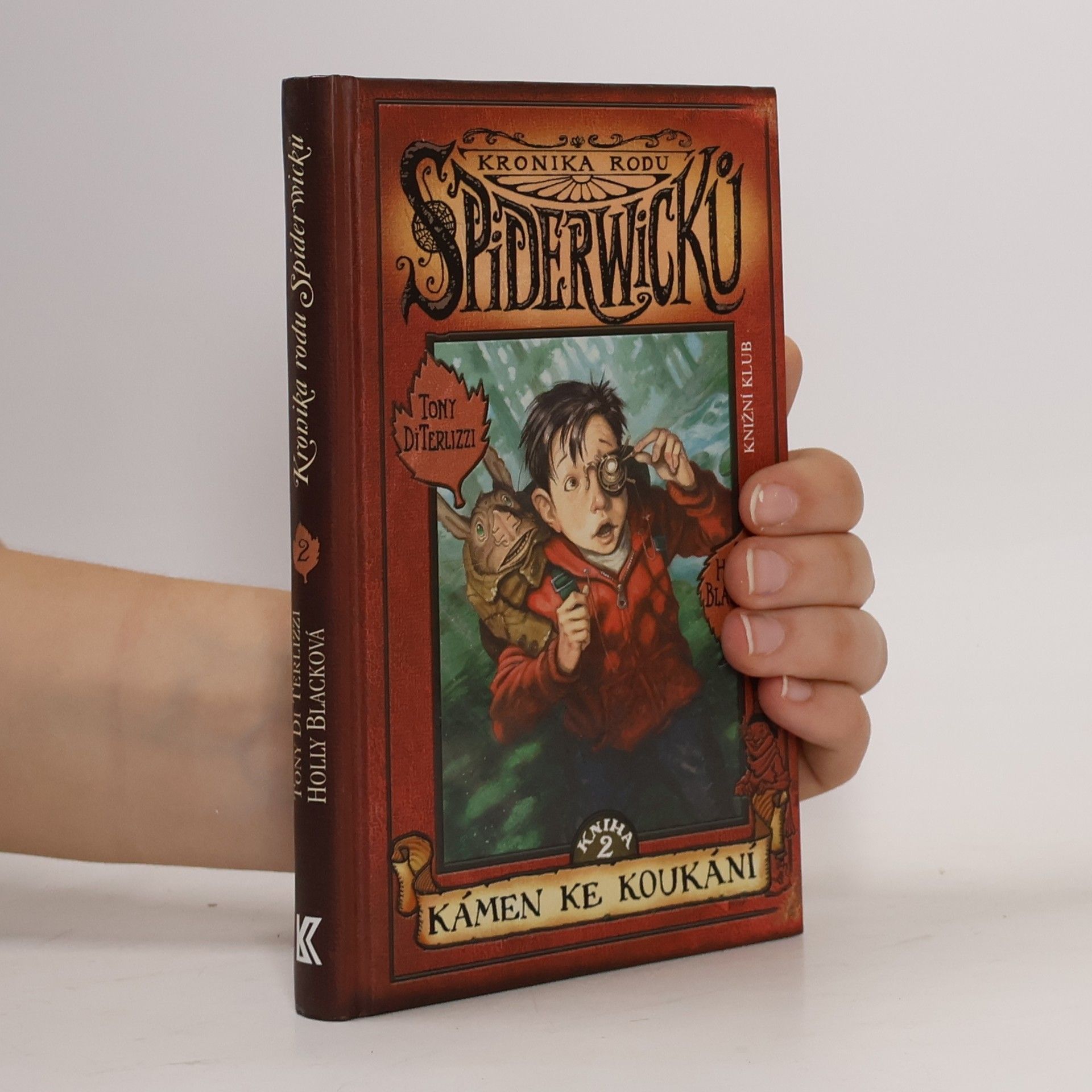 Tony DiTerlizzi Kronika rodu Spiderwicků. Kniha 2, Kámen ke koukání