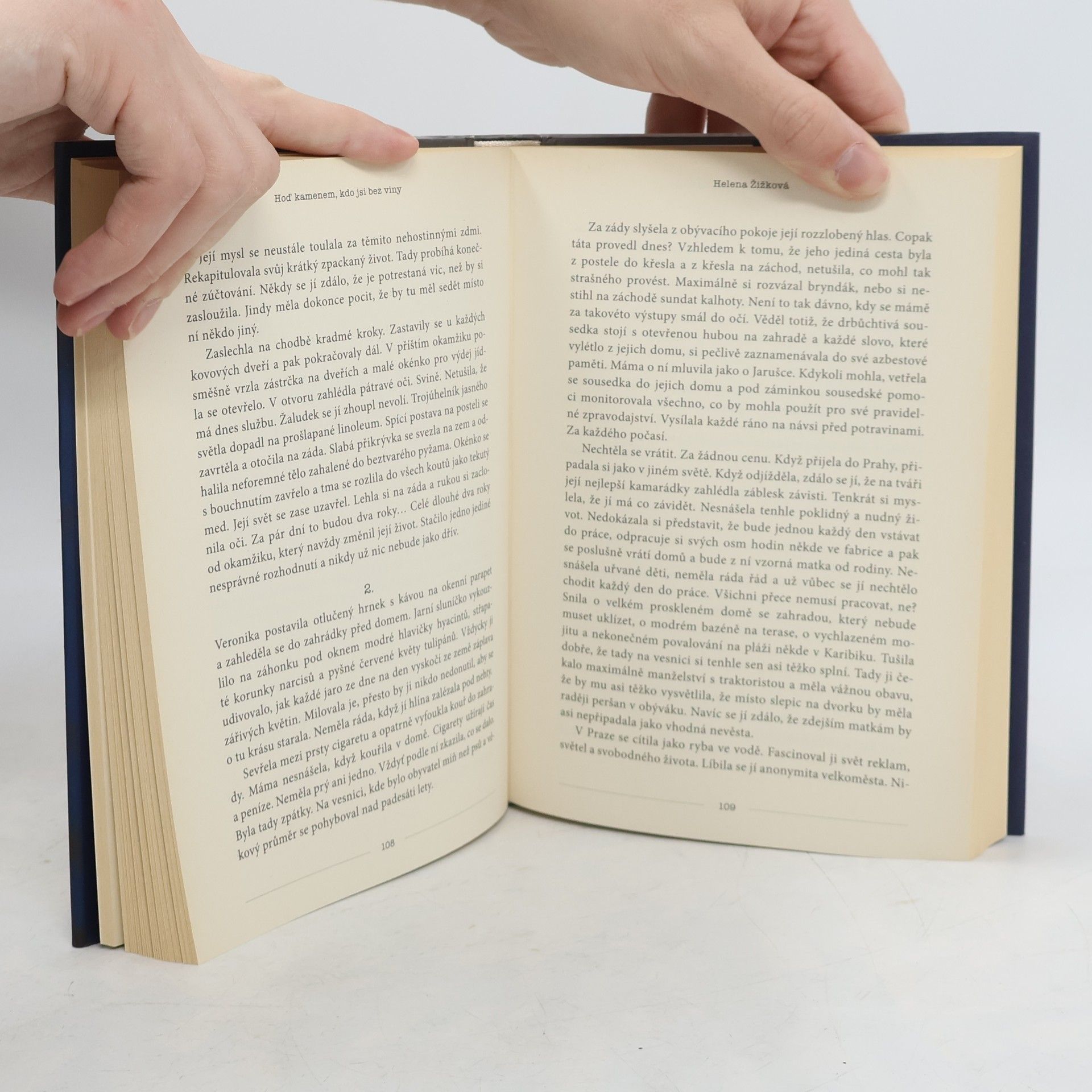 Autorenkollektiv Inspirace v odstínech šedi - Vítězné povídky soutěže Staň se novou E L James