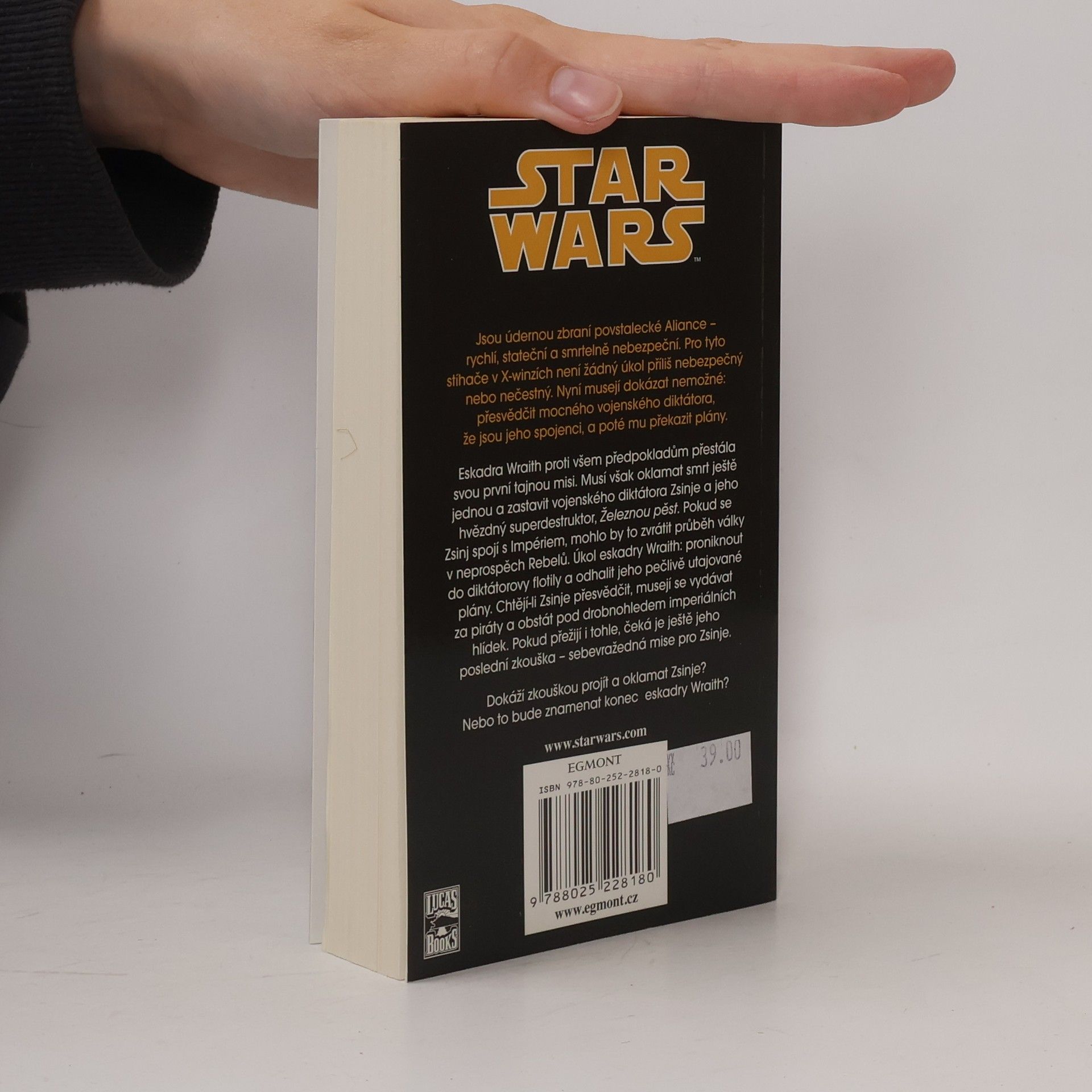 Aaron Allston Star Wars: X-Wing. Kniha šestá, Železná pěst