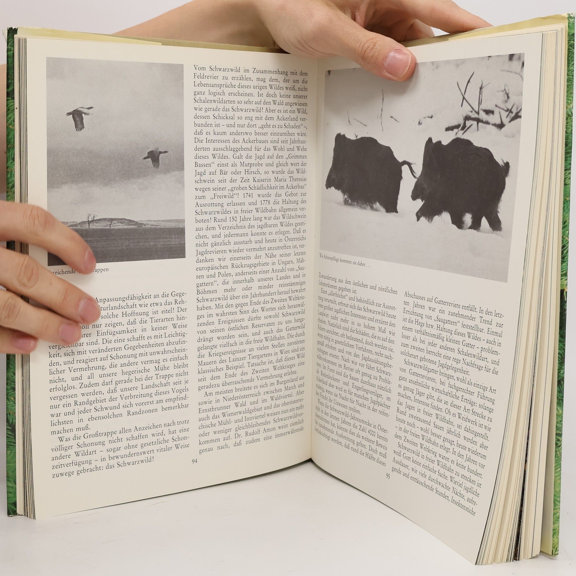 Janko Musulin Das grosse Buch der Jagd in Österreich