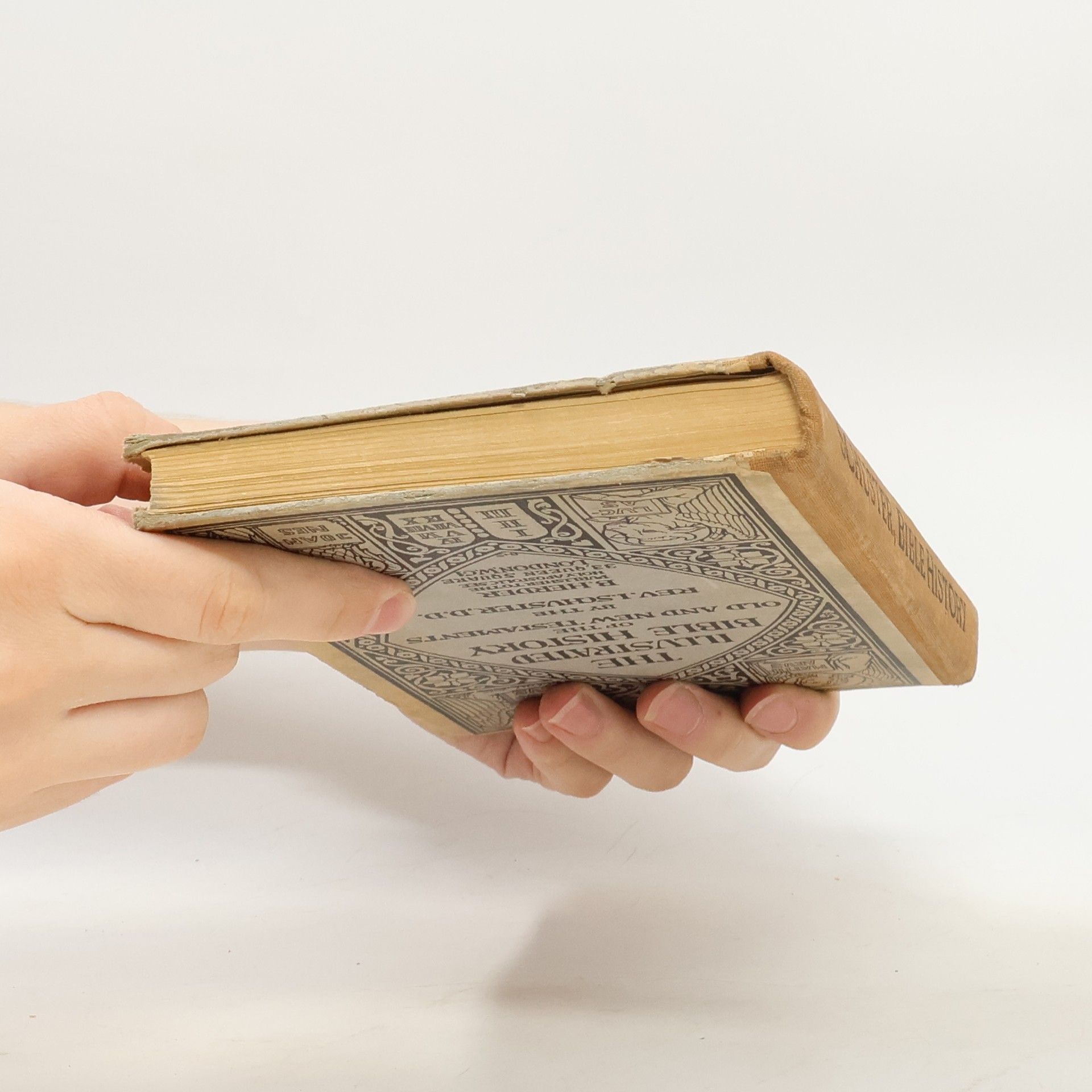 D. D. Rev. I. Schuster The Illustrated Bible History