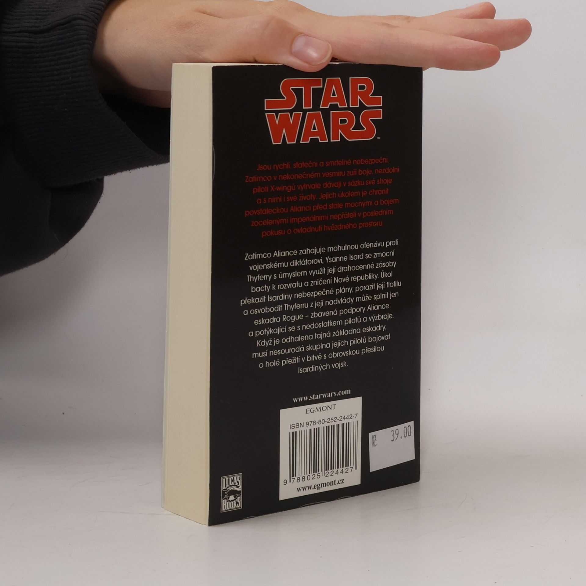 Michael A. Stackpole Star Wars: X-Wing. Kniha čtvrtá, Bactová válka