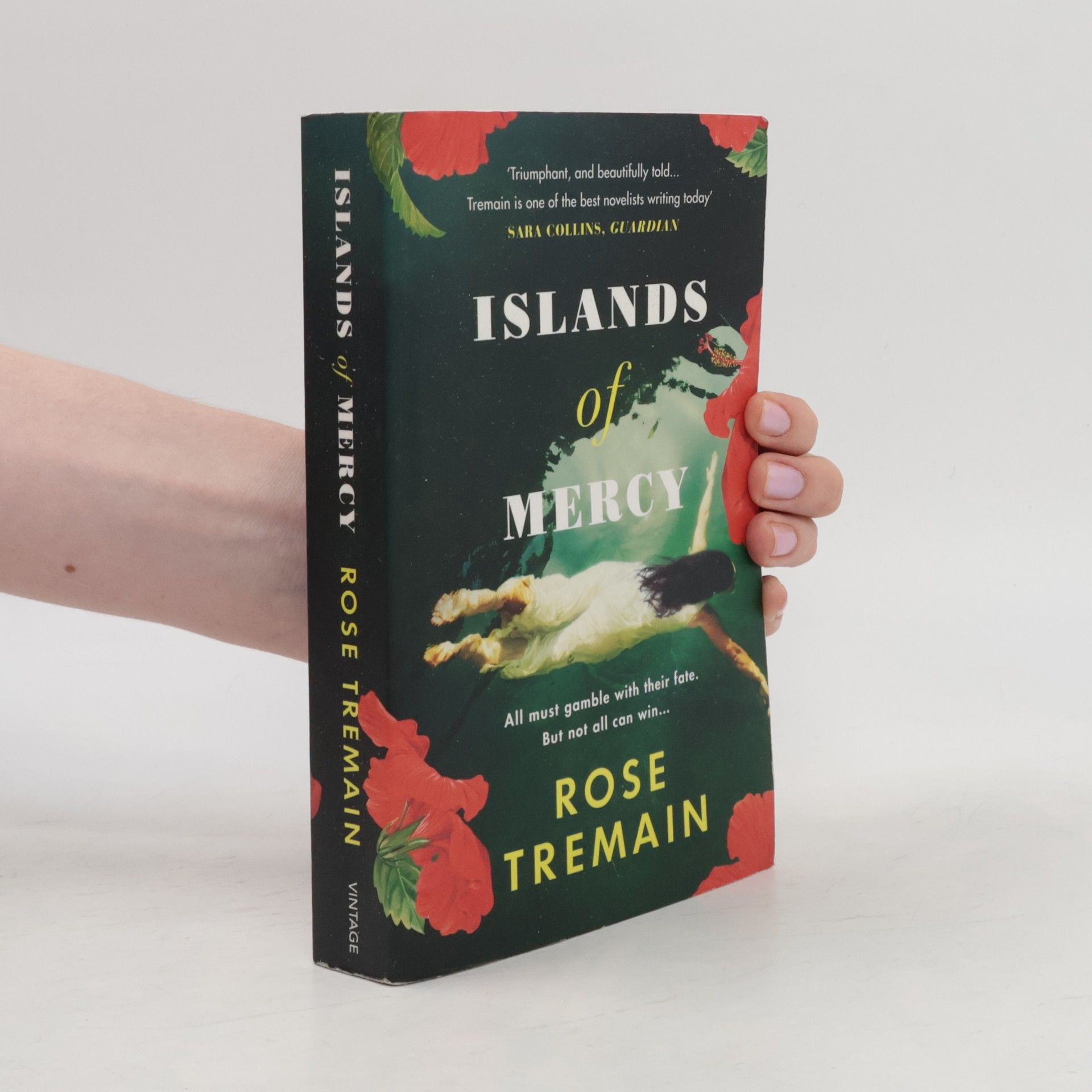Rose Tremain Islands of Mercy