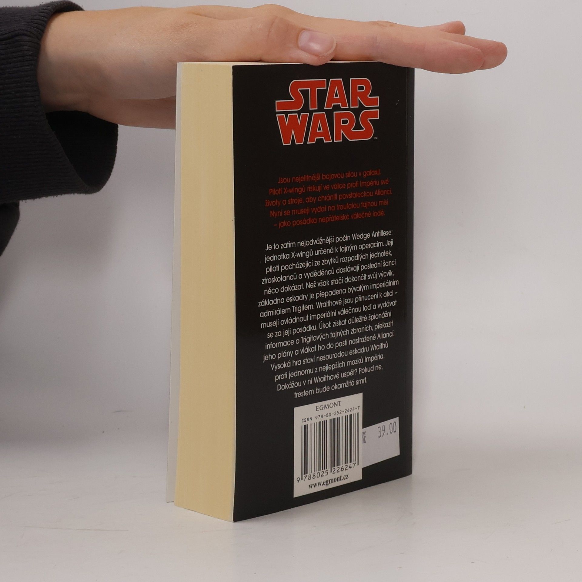 Aaron Allston Star Wars: X-Wing. Kniha pátá, Eskadra Wraith