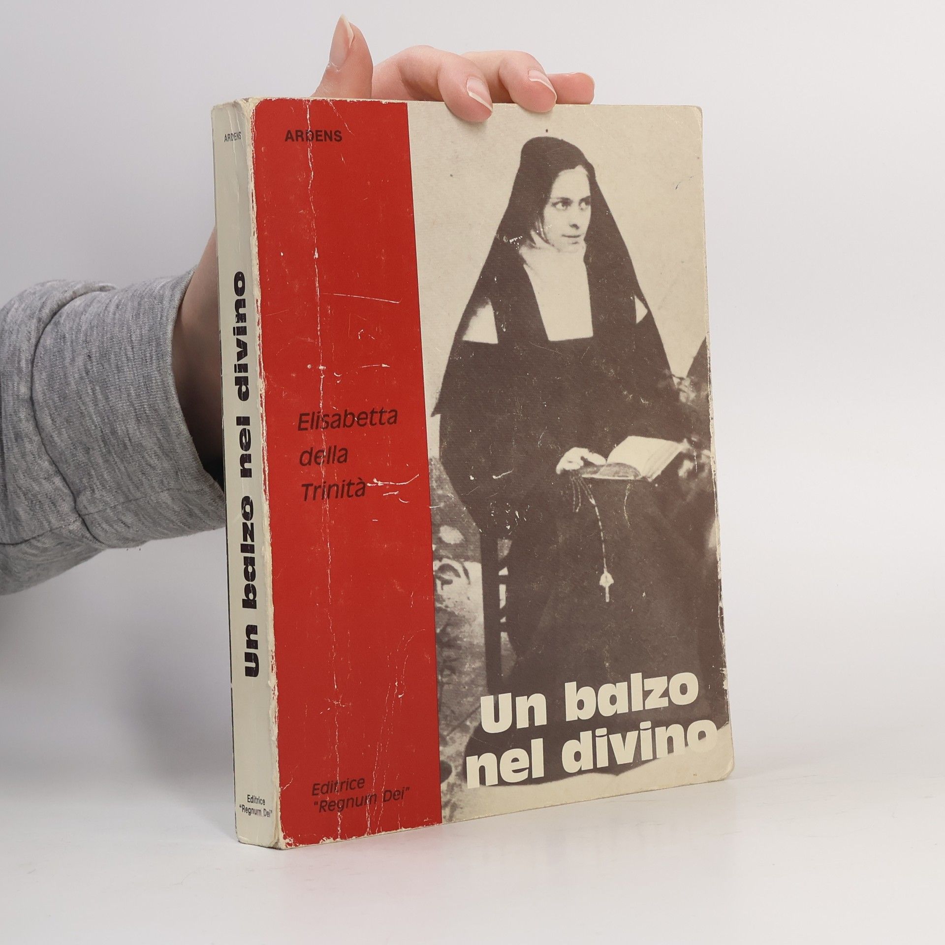 Kolektiv autorů Un balzo nel divino
