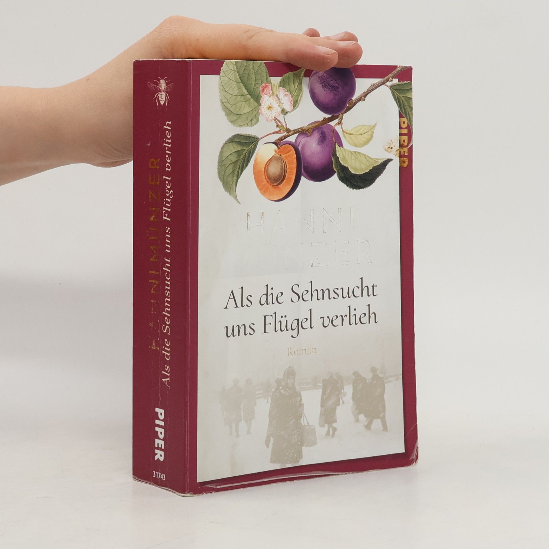 Hanni Münzer Als die Sehnsucht uns Flügel verlieh