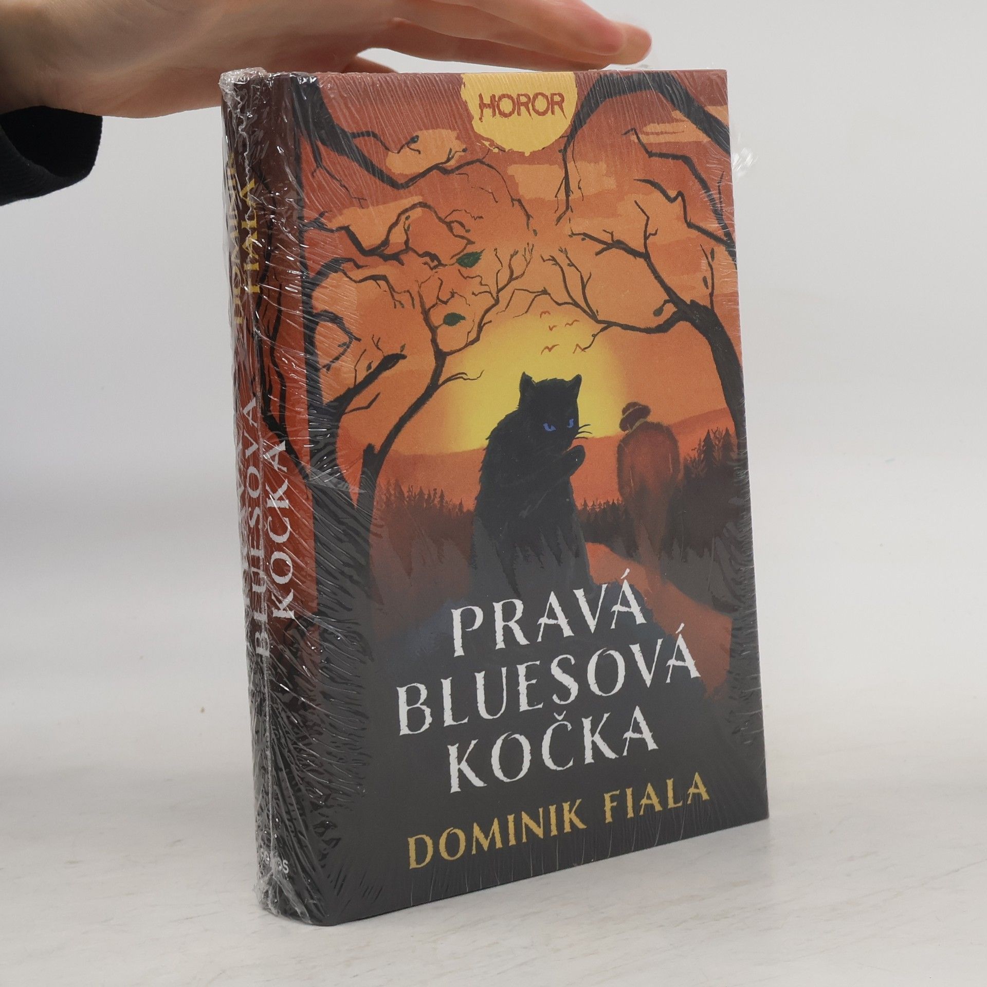 Dominik Fiala Pravá bluesová kočka