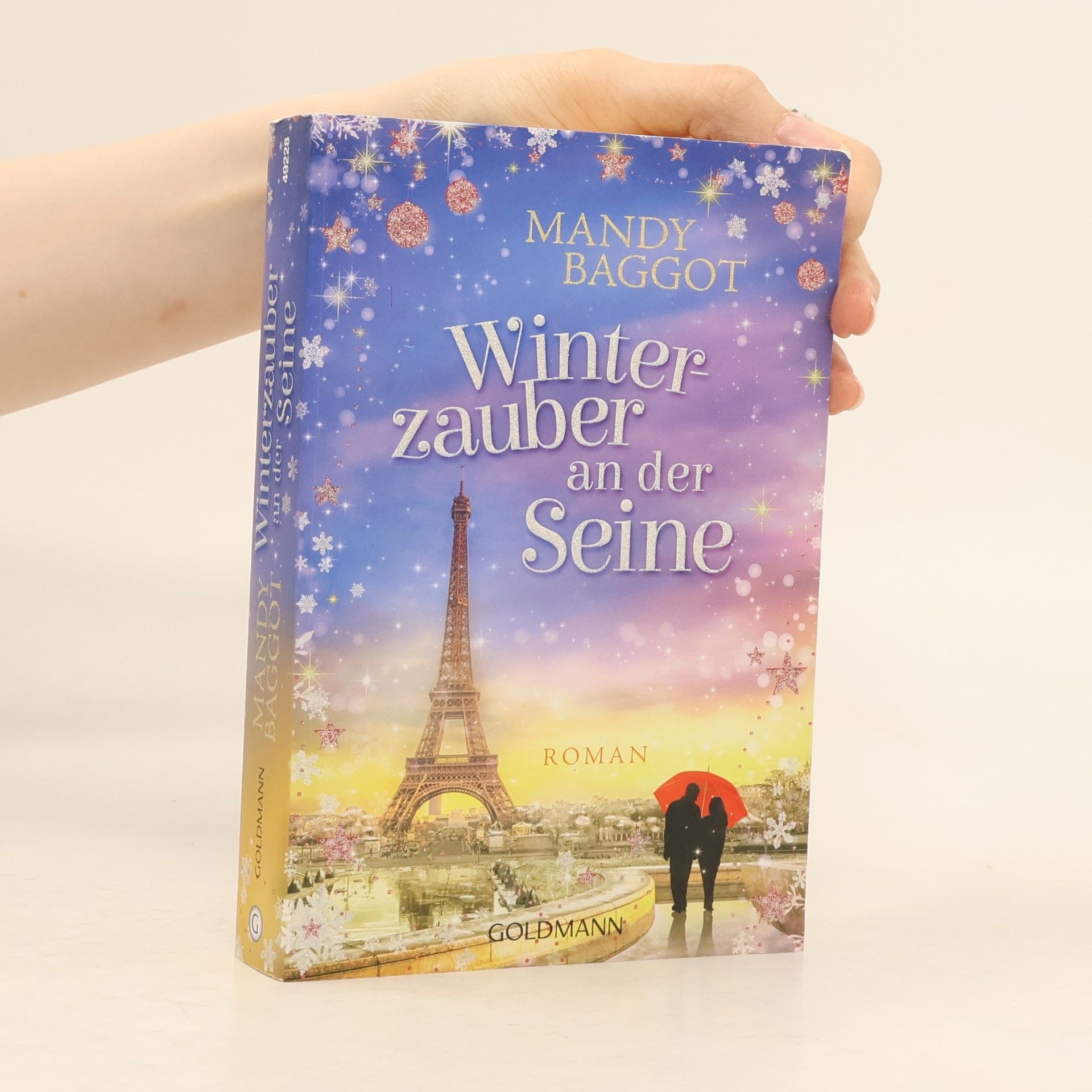 Mandy Baggot Winterzauber an der Seine